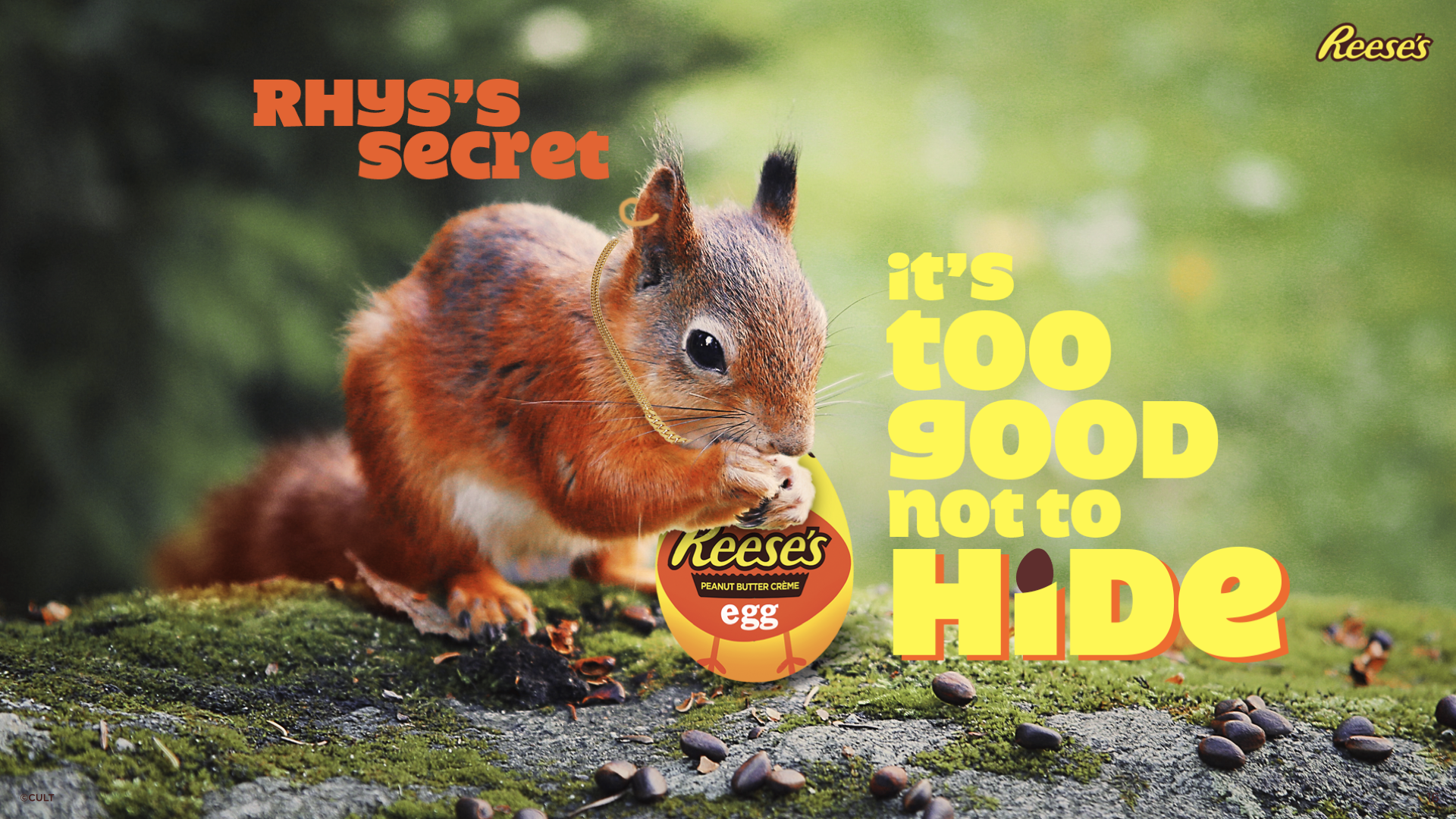 Reeses For CM.016.png