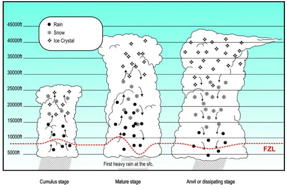 Diagram illustrating the stages of a thunderstorm with precipitation types and freezing level marked