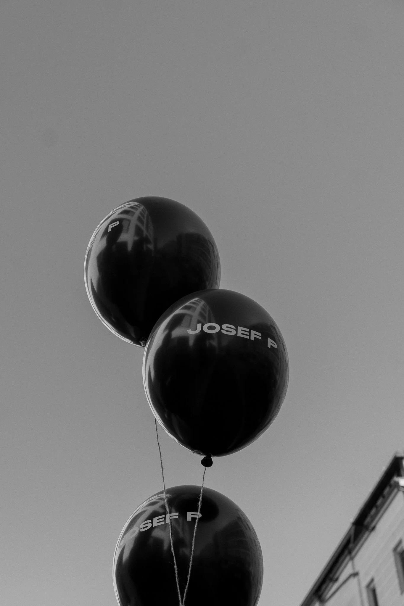 DSC00584.jpg