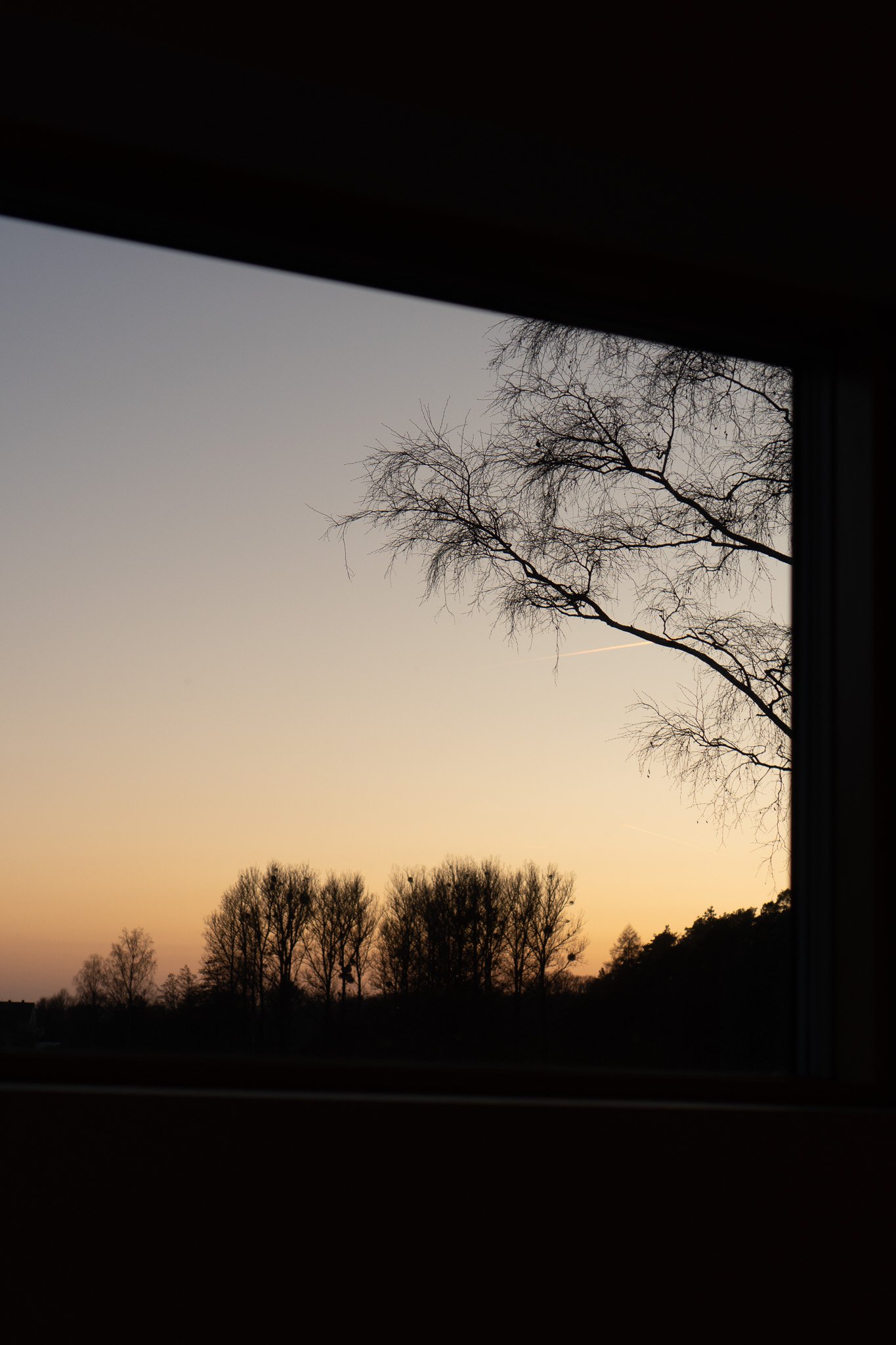 DSC02620.jpg