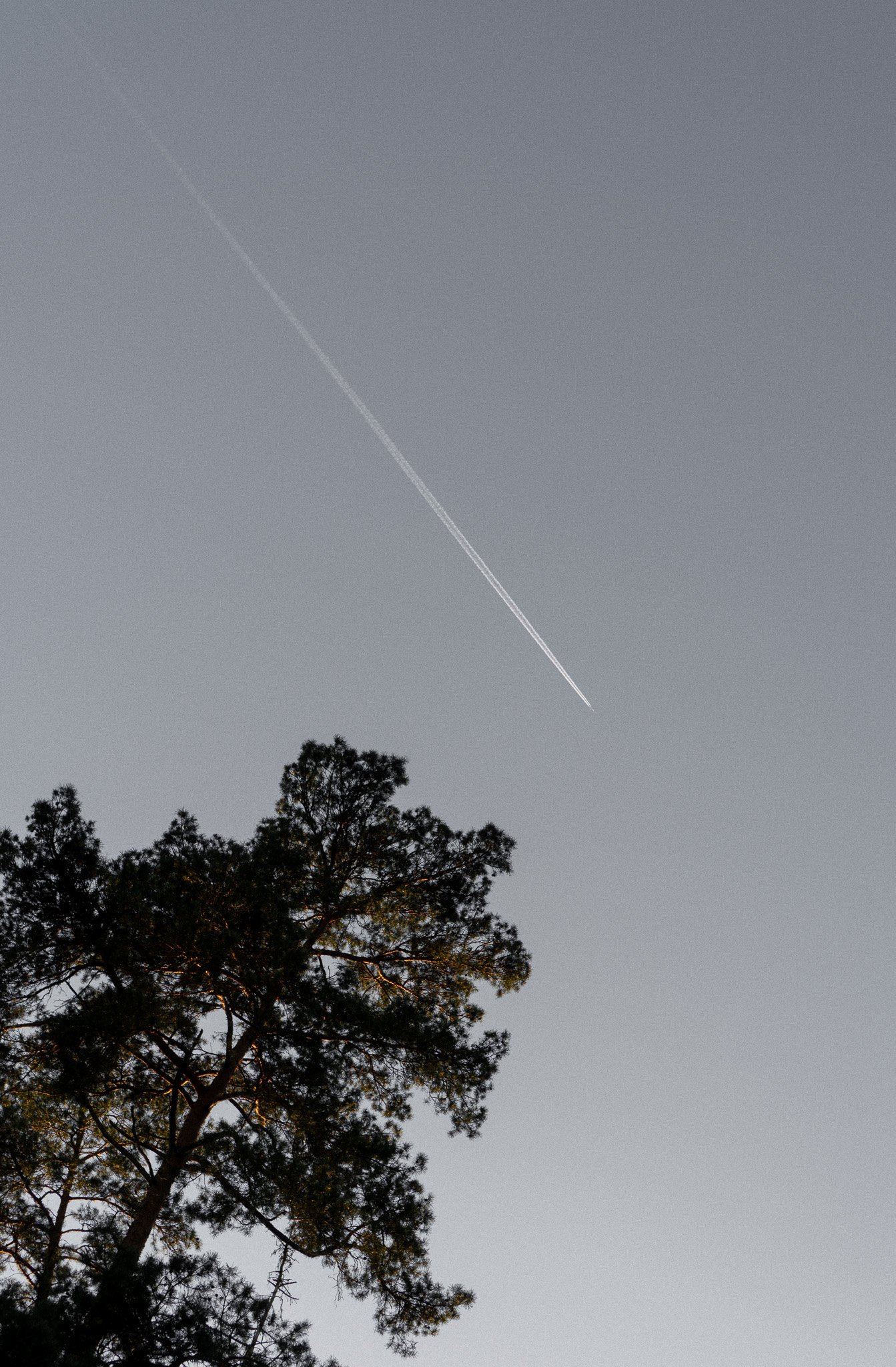 DSC02574.jpg