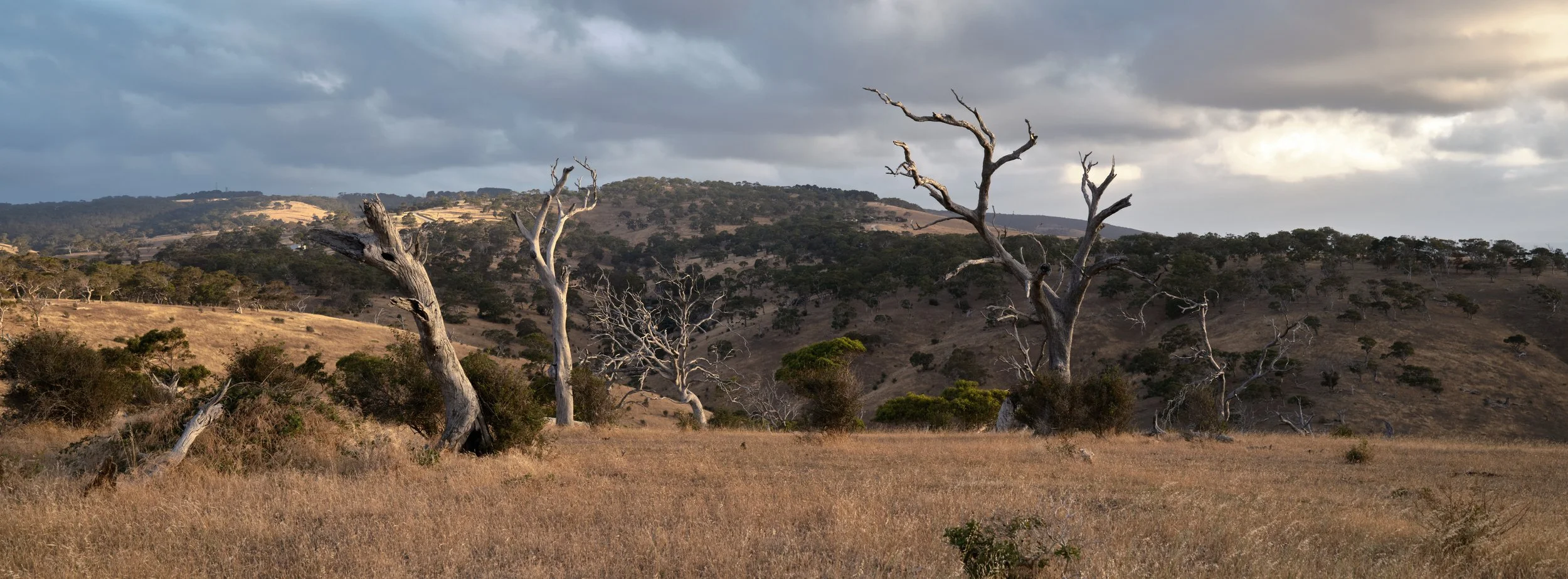 DSCF3950.jpg
