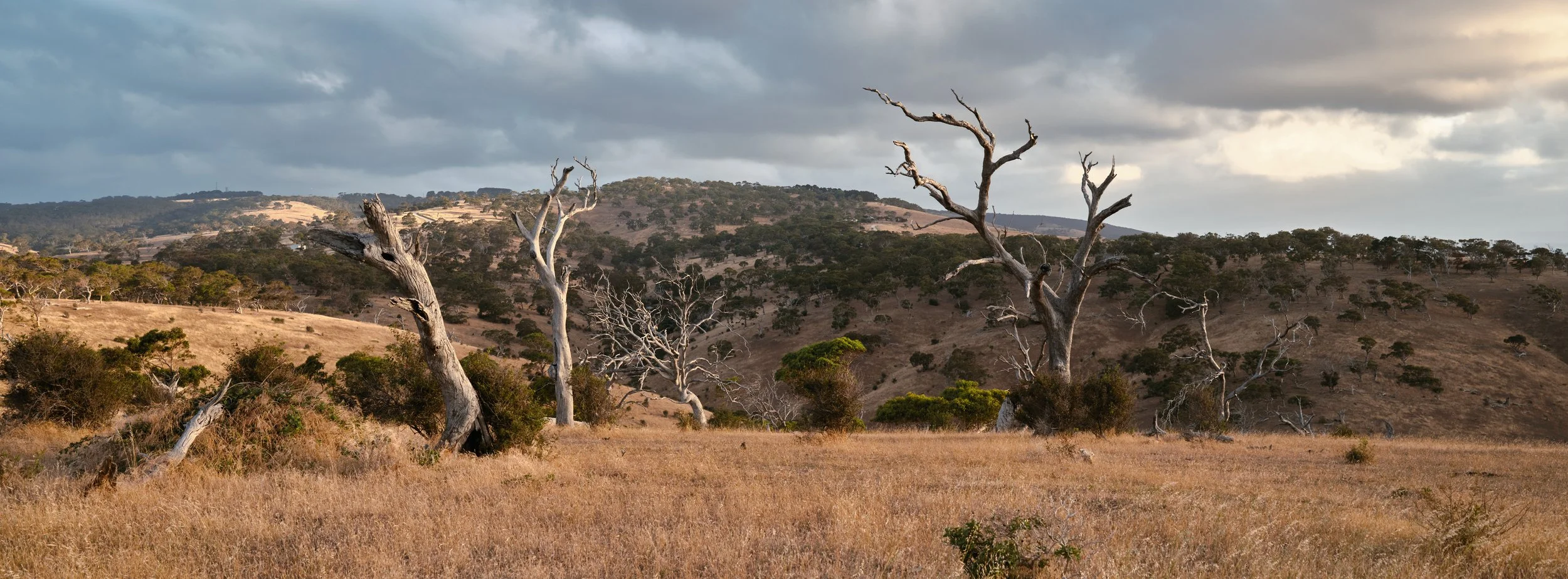 DSCF3950.jpg