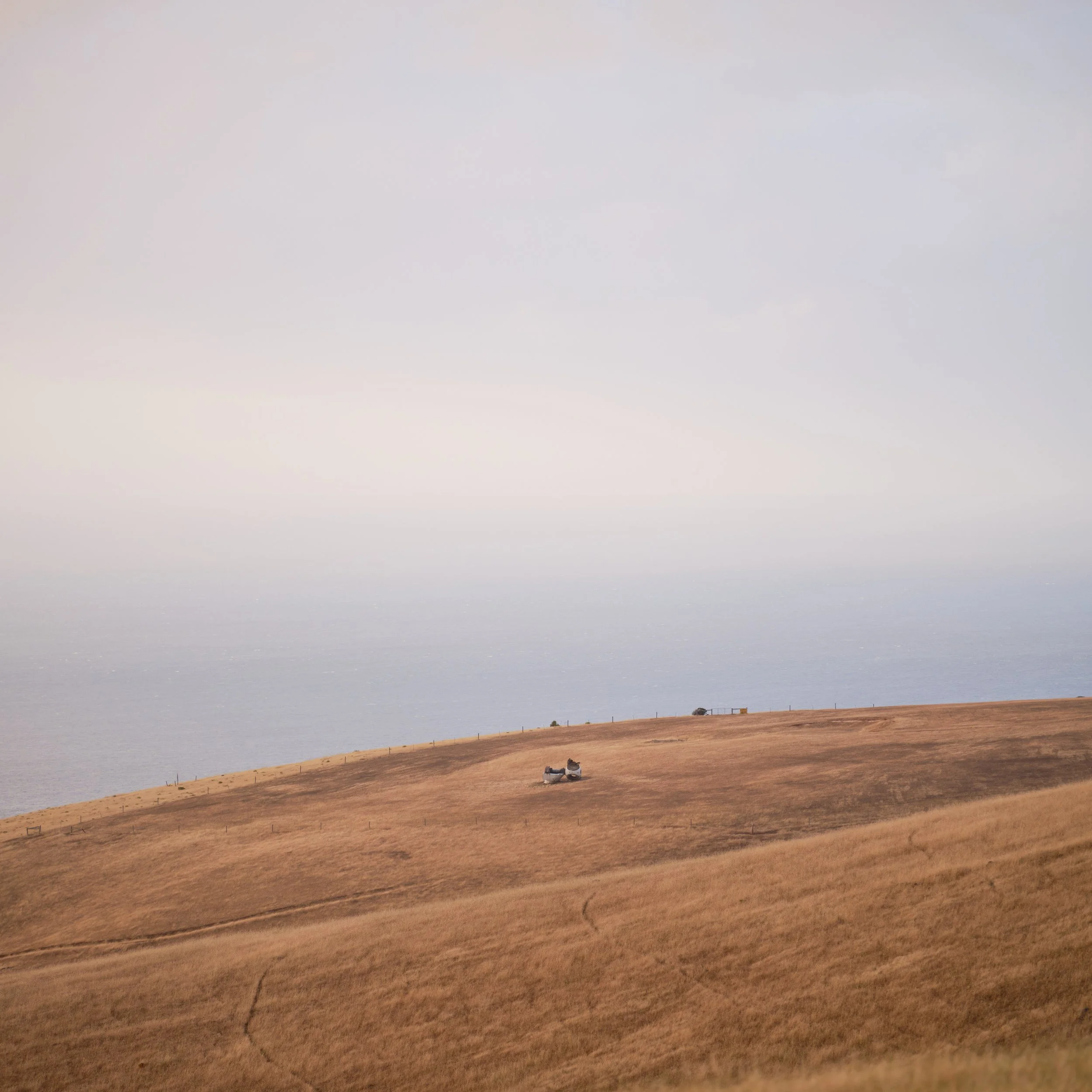 DSCF3971.jpg