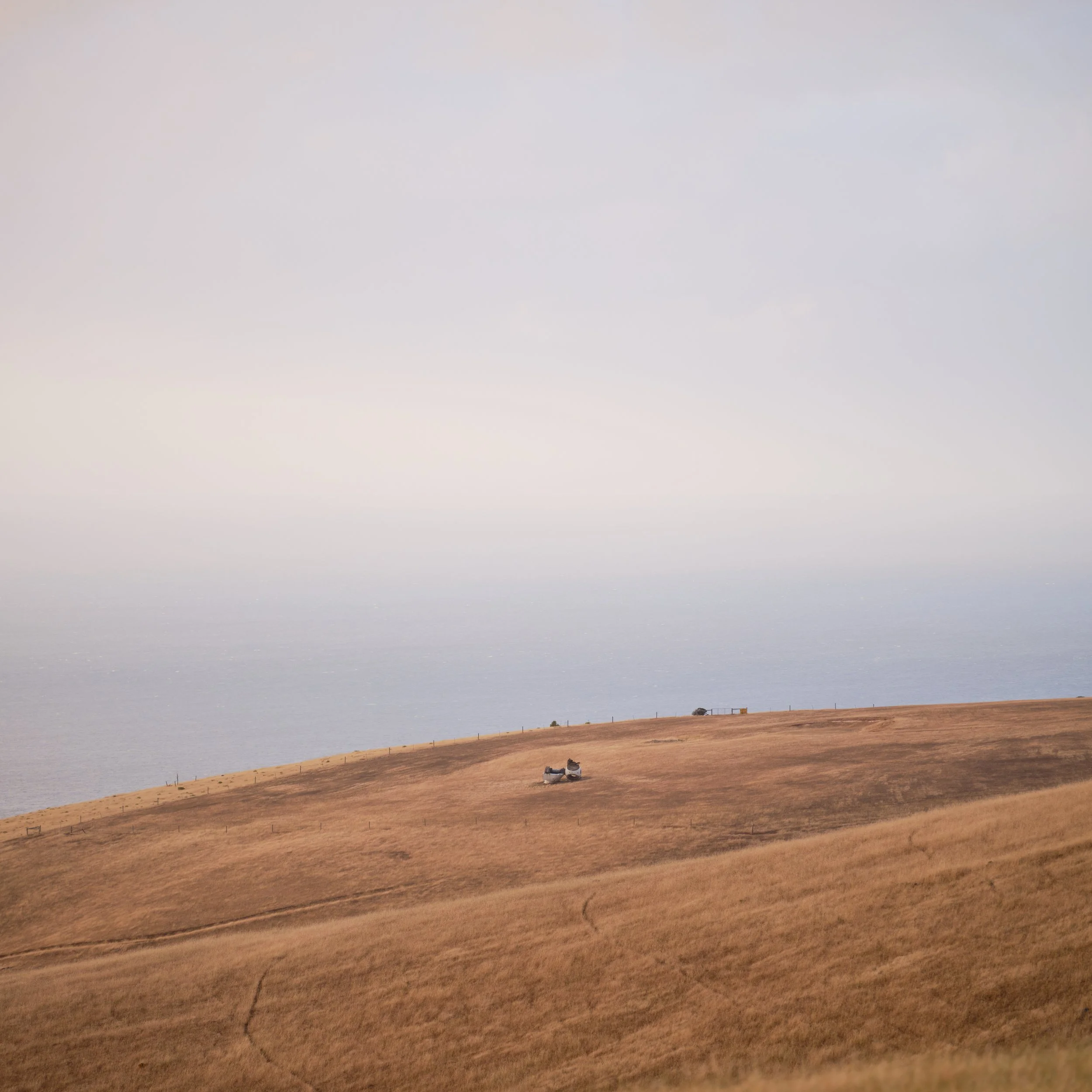DSCF3971.jpg