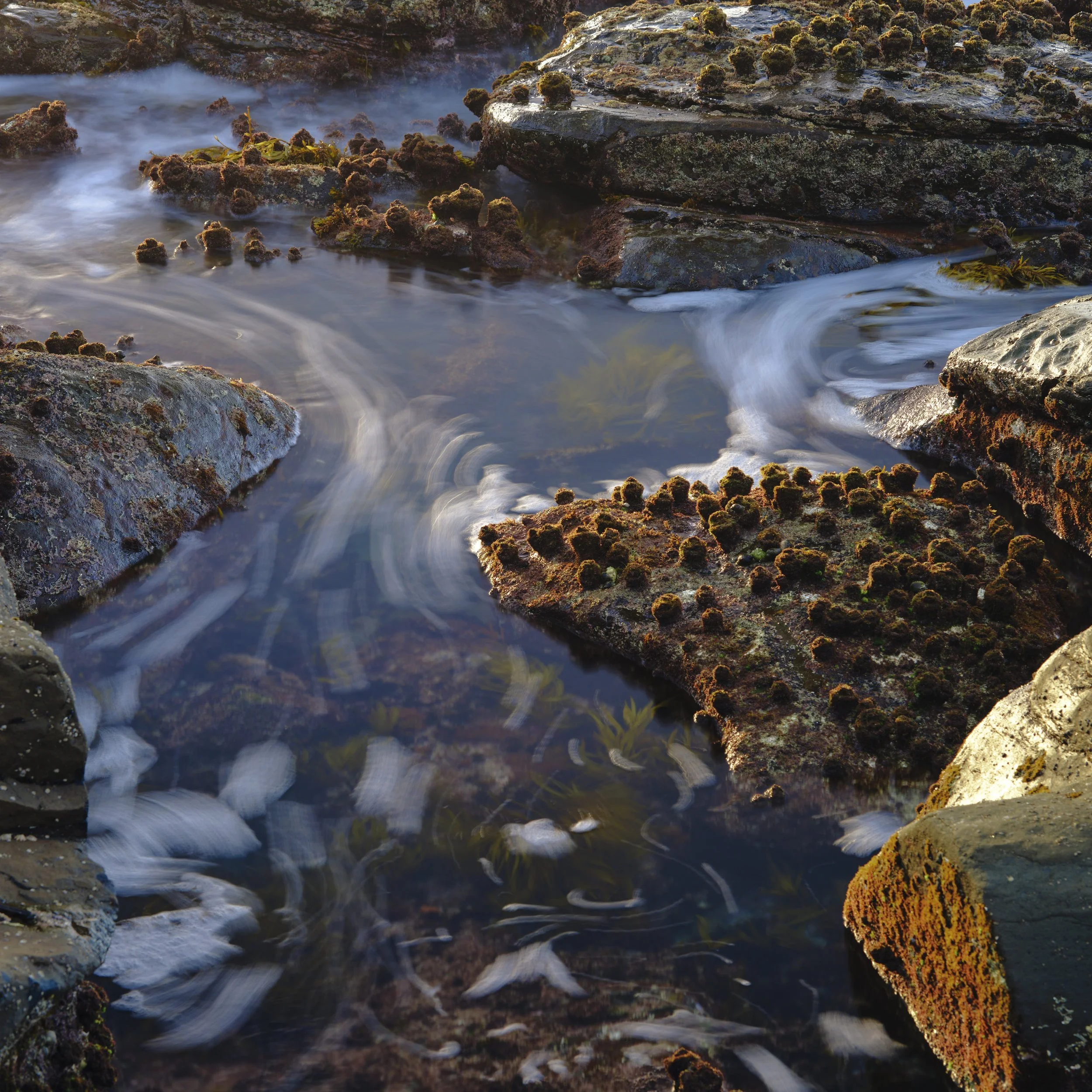 DSCF5809.jpg