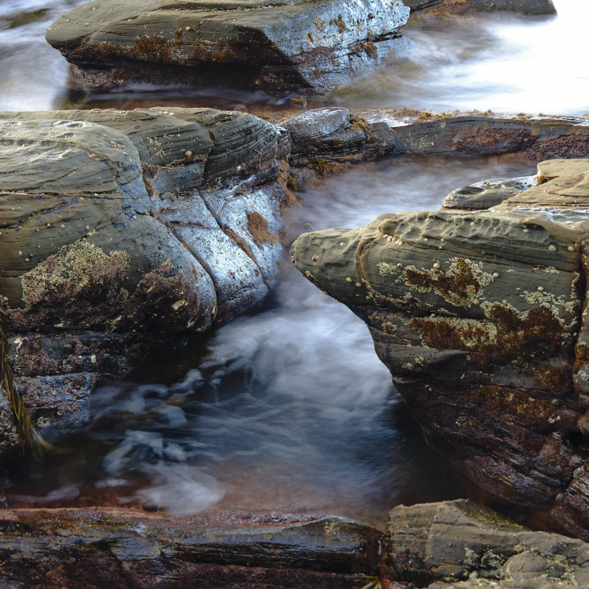 DSCF5822.jpg