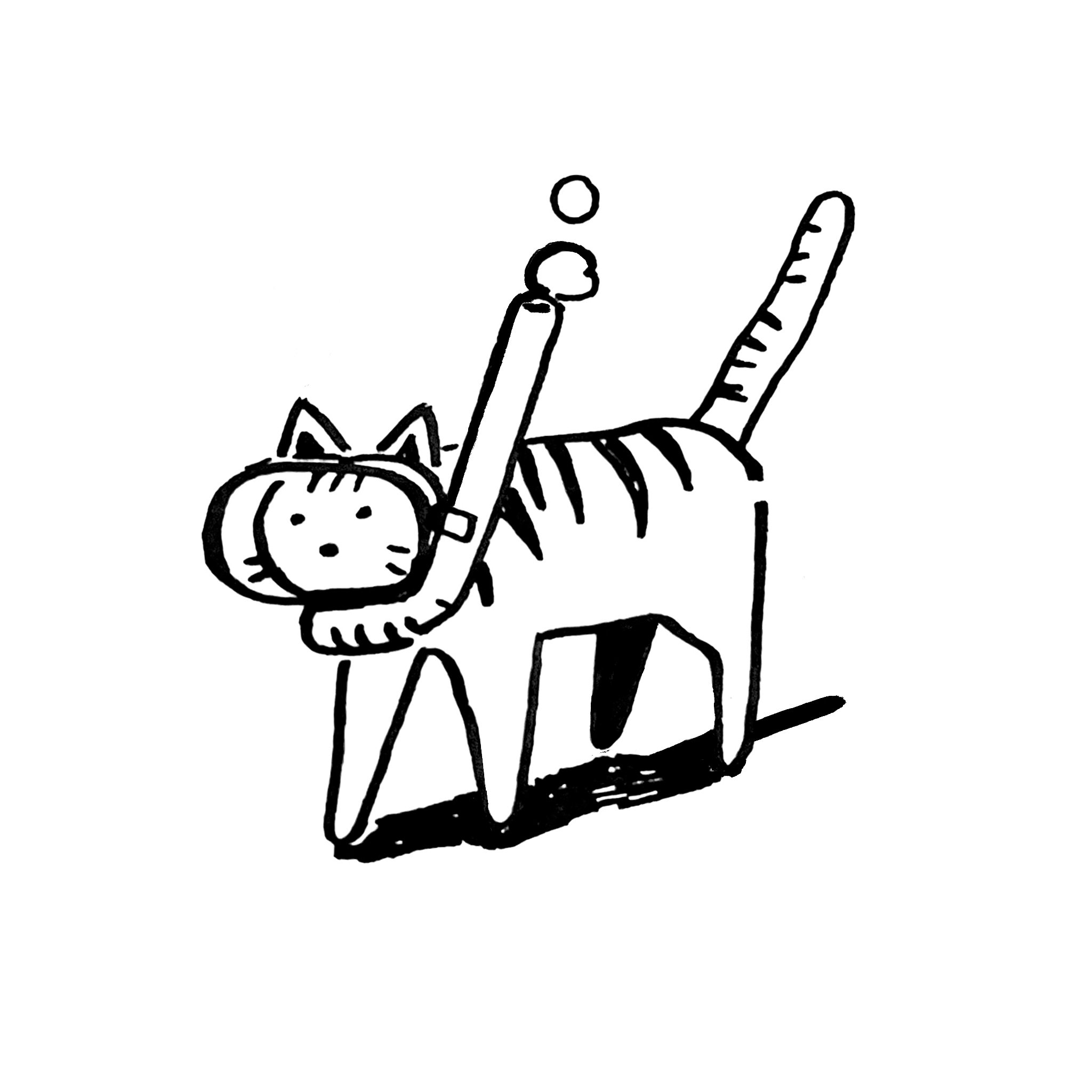 IMG_9194.PNG