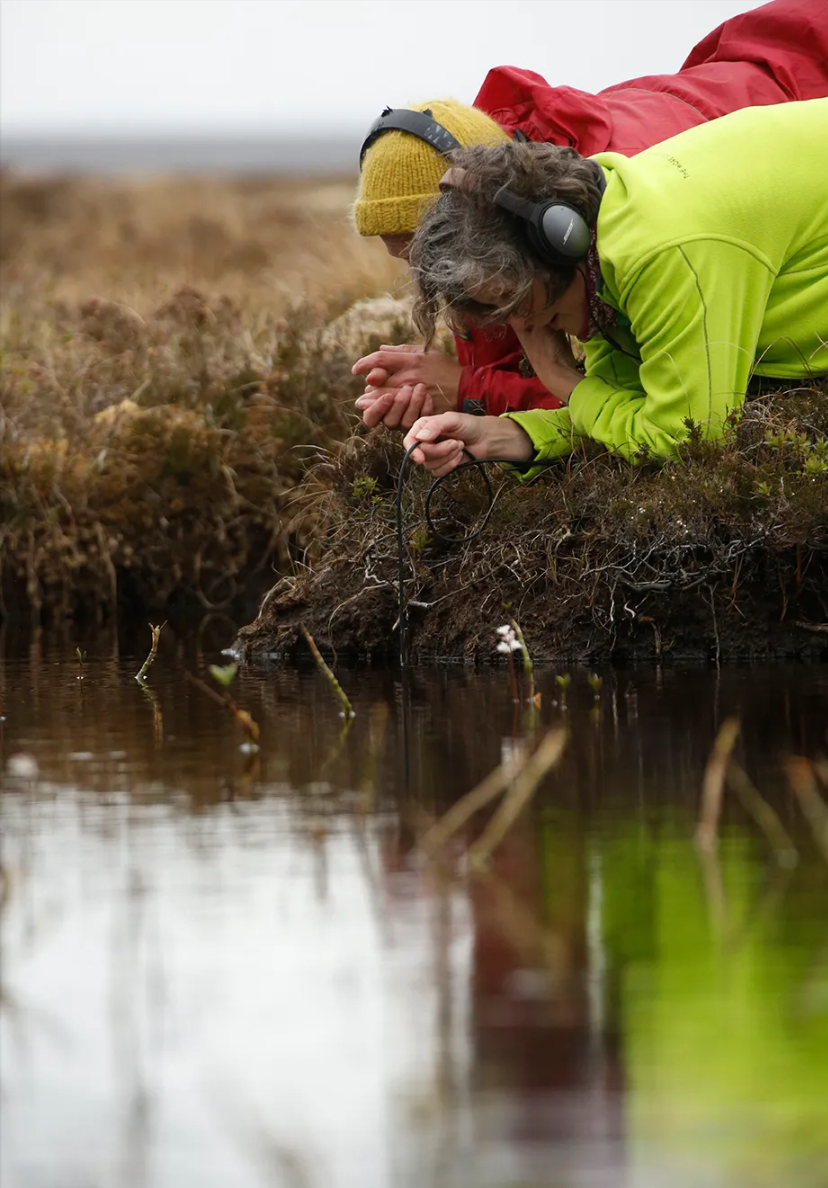 Sound Group: Creative Music Workshops for Young People