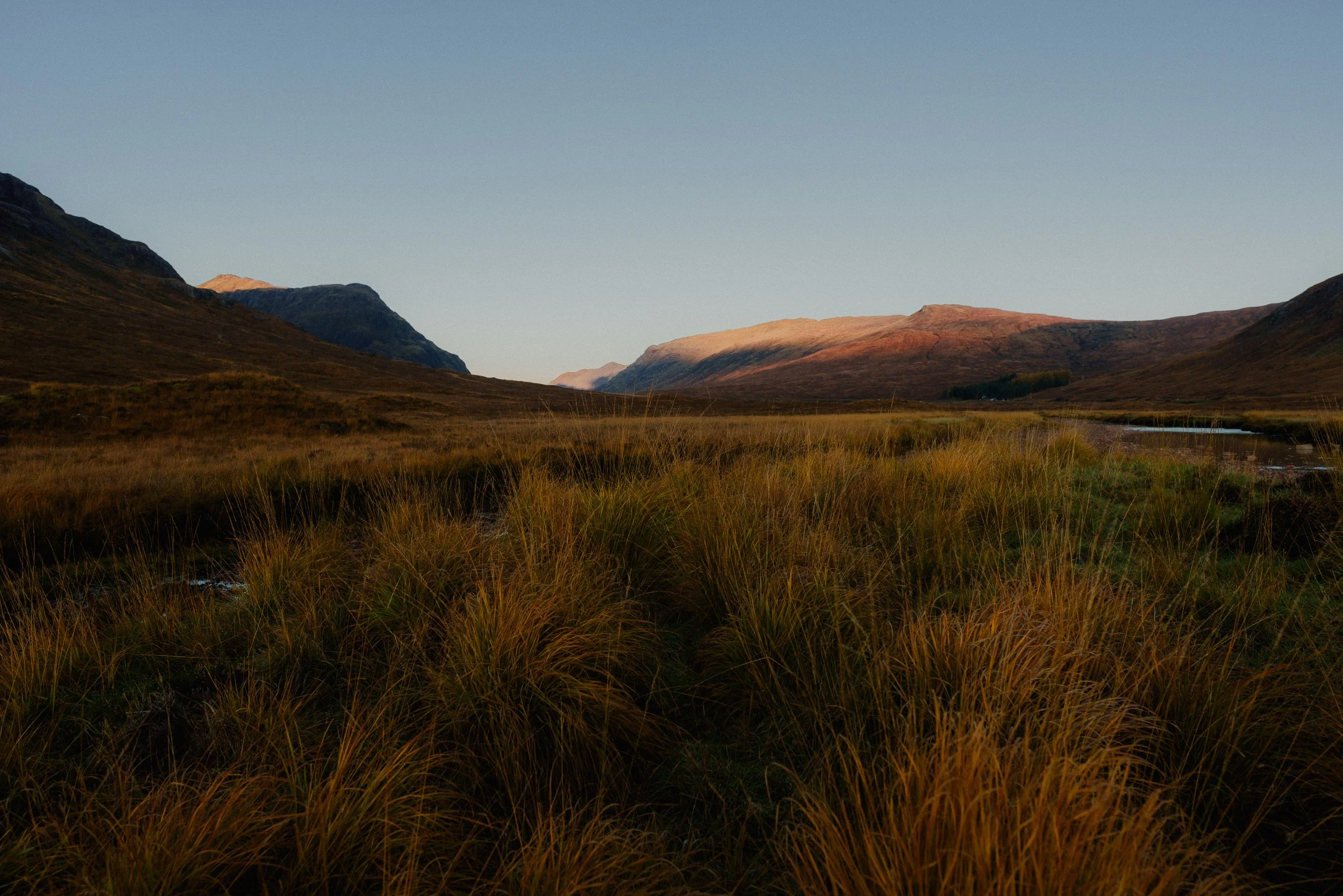 briansharpphotography-1-3.jpg (Copy) (Copy)