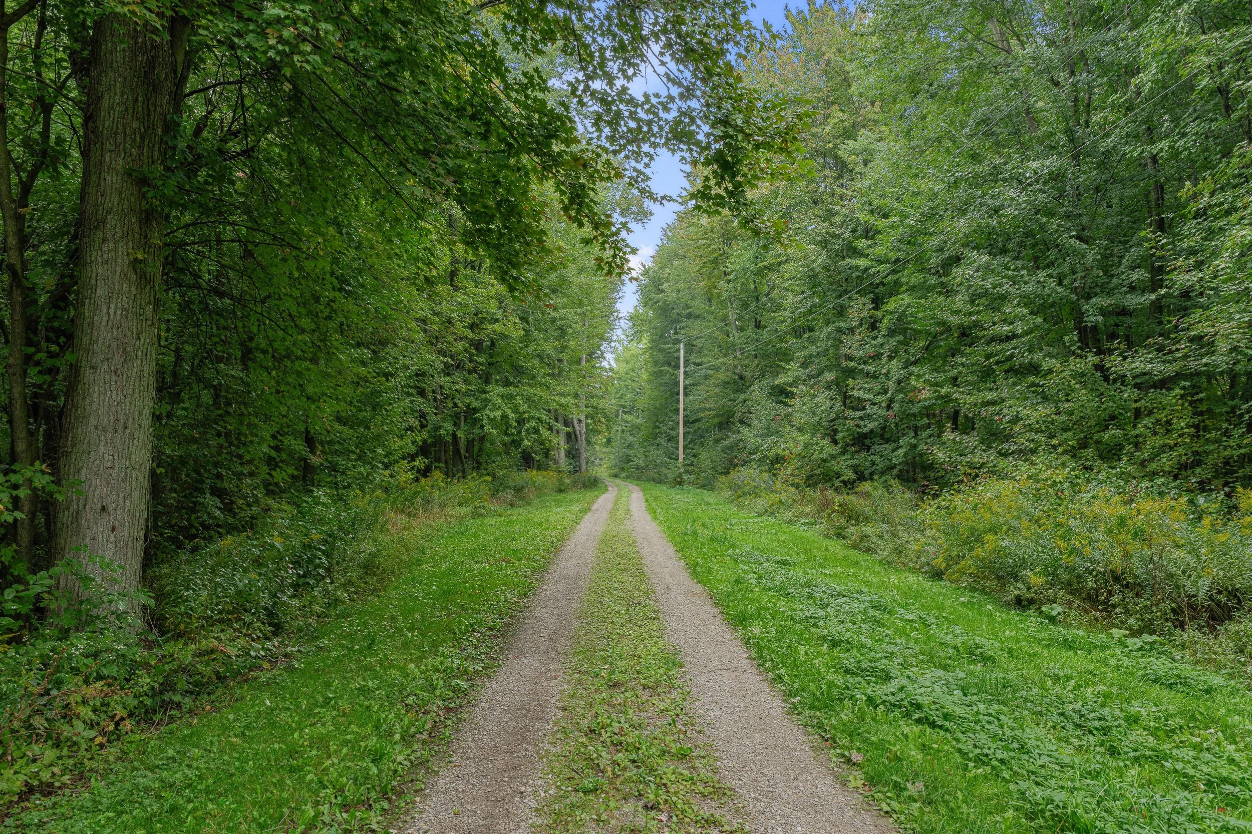 003-Image-25.jpg