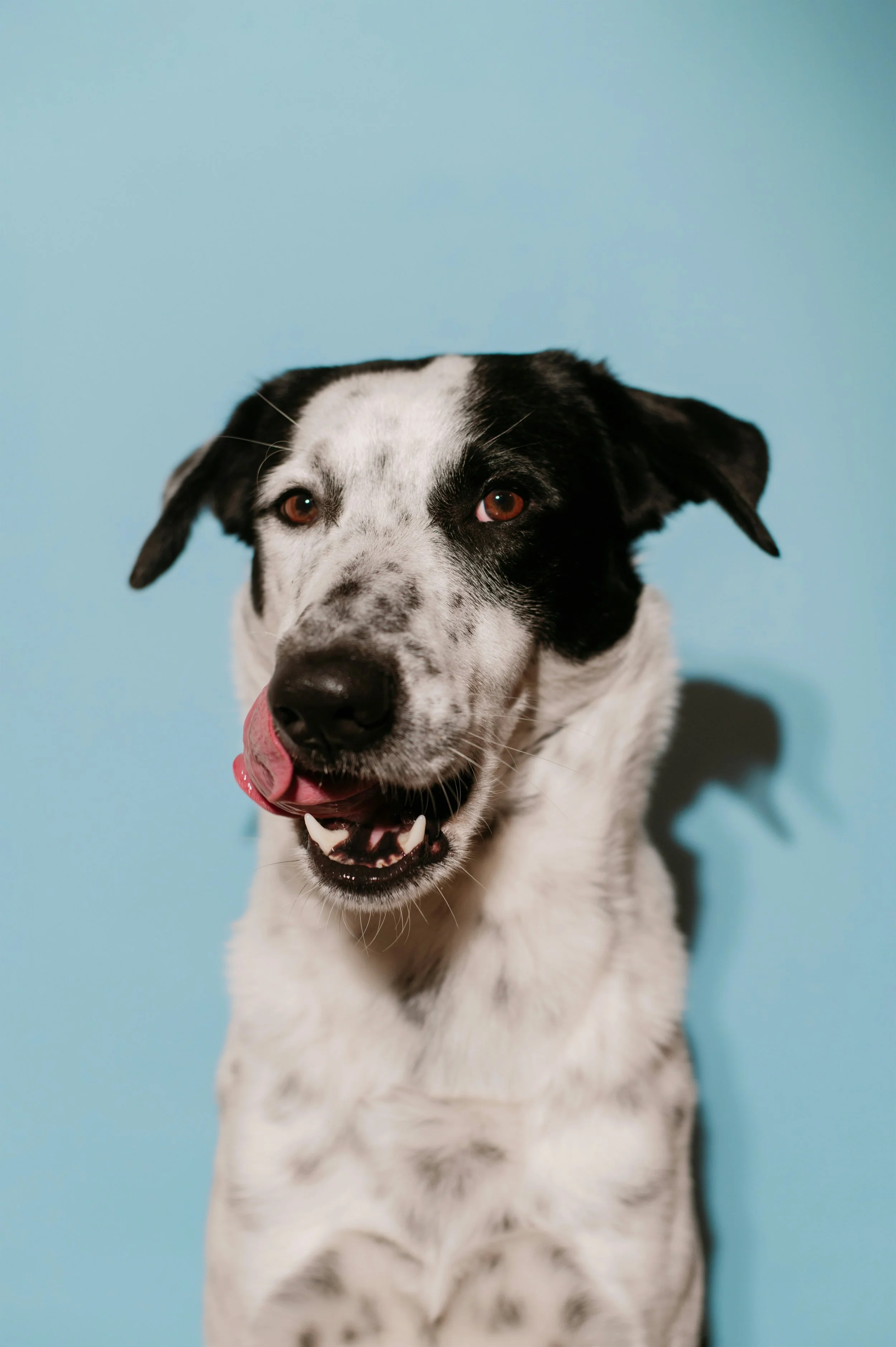 [Playlist - Q1/26] House Music for Runners