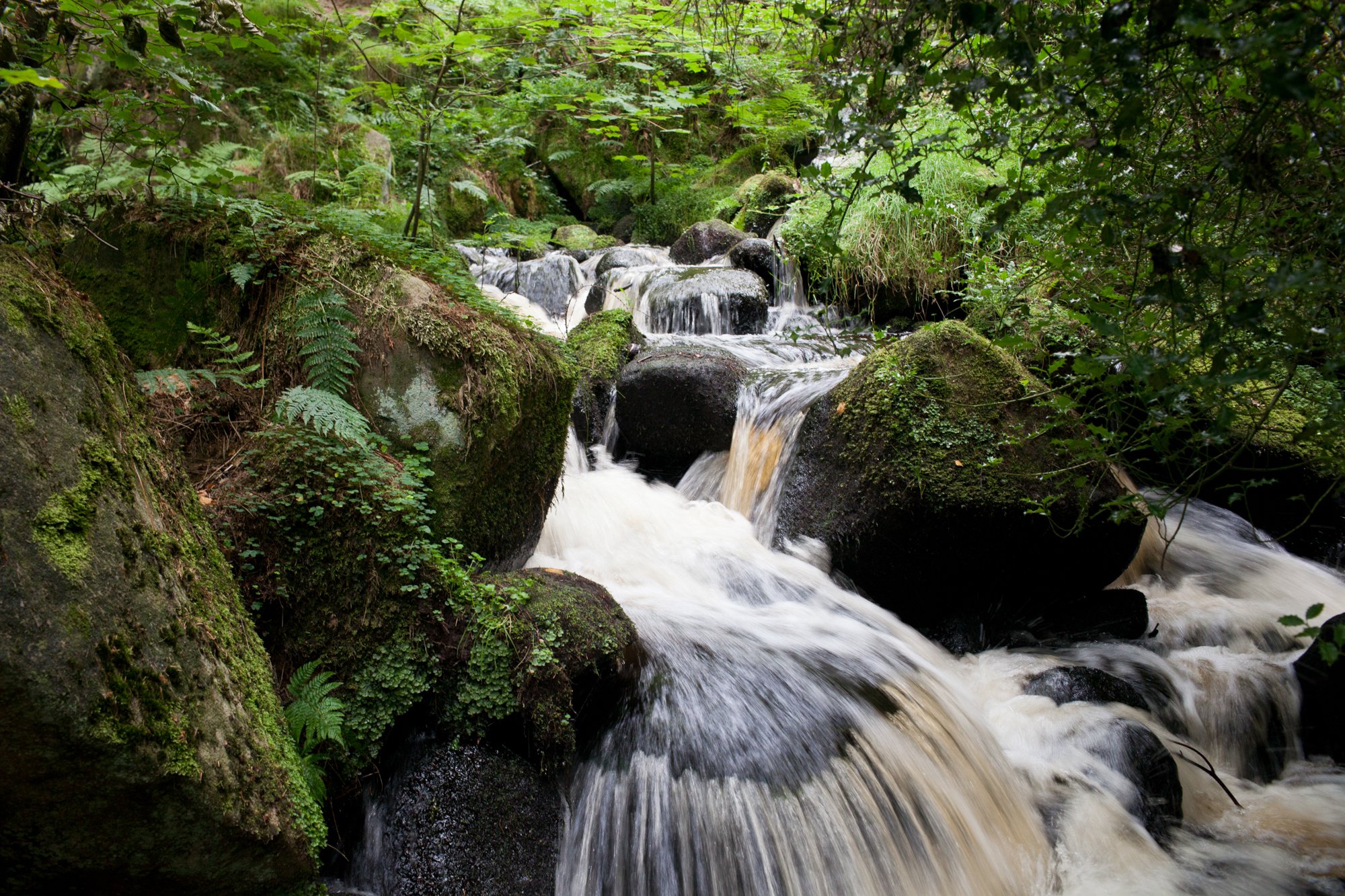  Wyming Brook, Sheffield.  