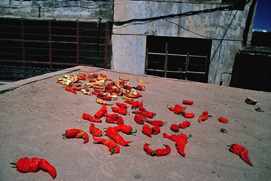  Red chillies drying on the roof in Jiayuguan, Gansu. 