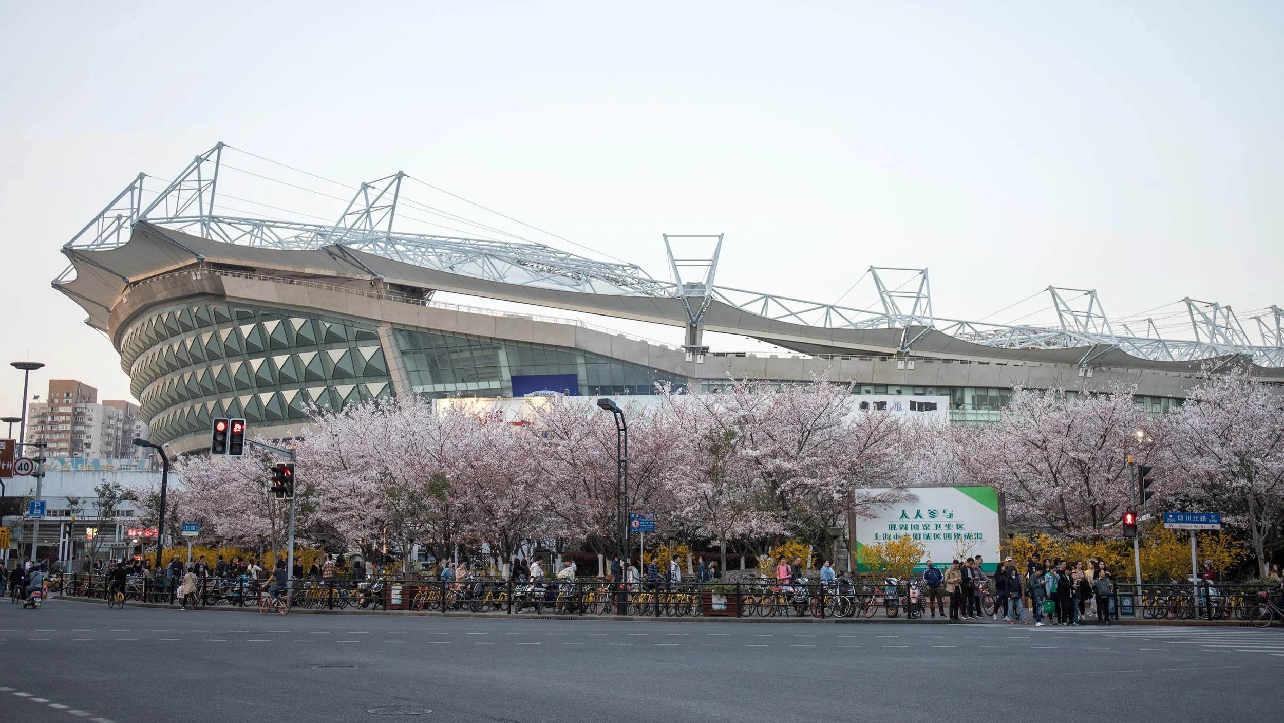 GKTHongkoublossom28032018_022_1080.jpg