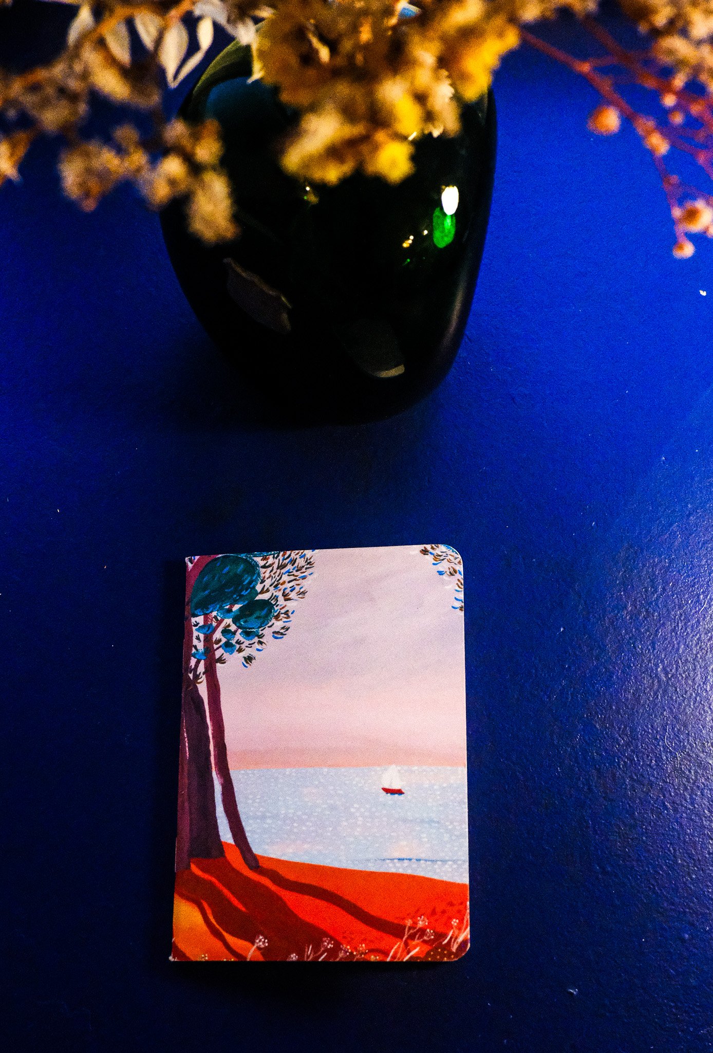DSCF5353.jpg