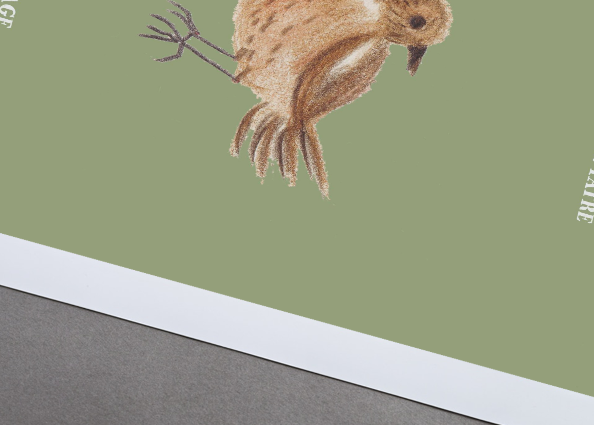 lama-mockup-paper-mockup (1).jpg