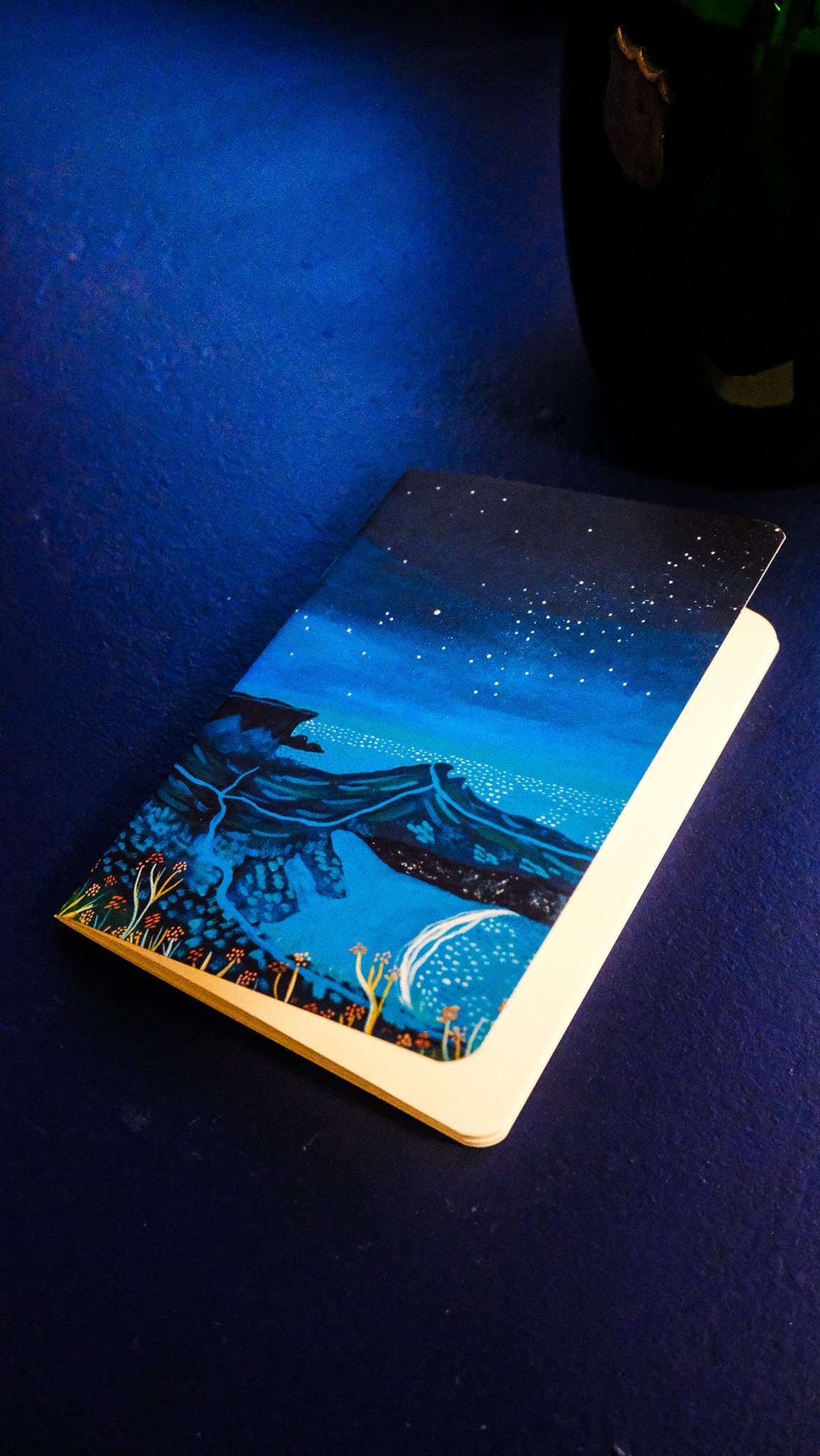 Carnet de poche "Baluden" Belle-Île-en-Mer