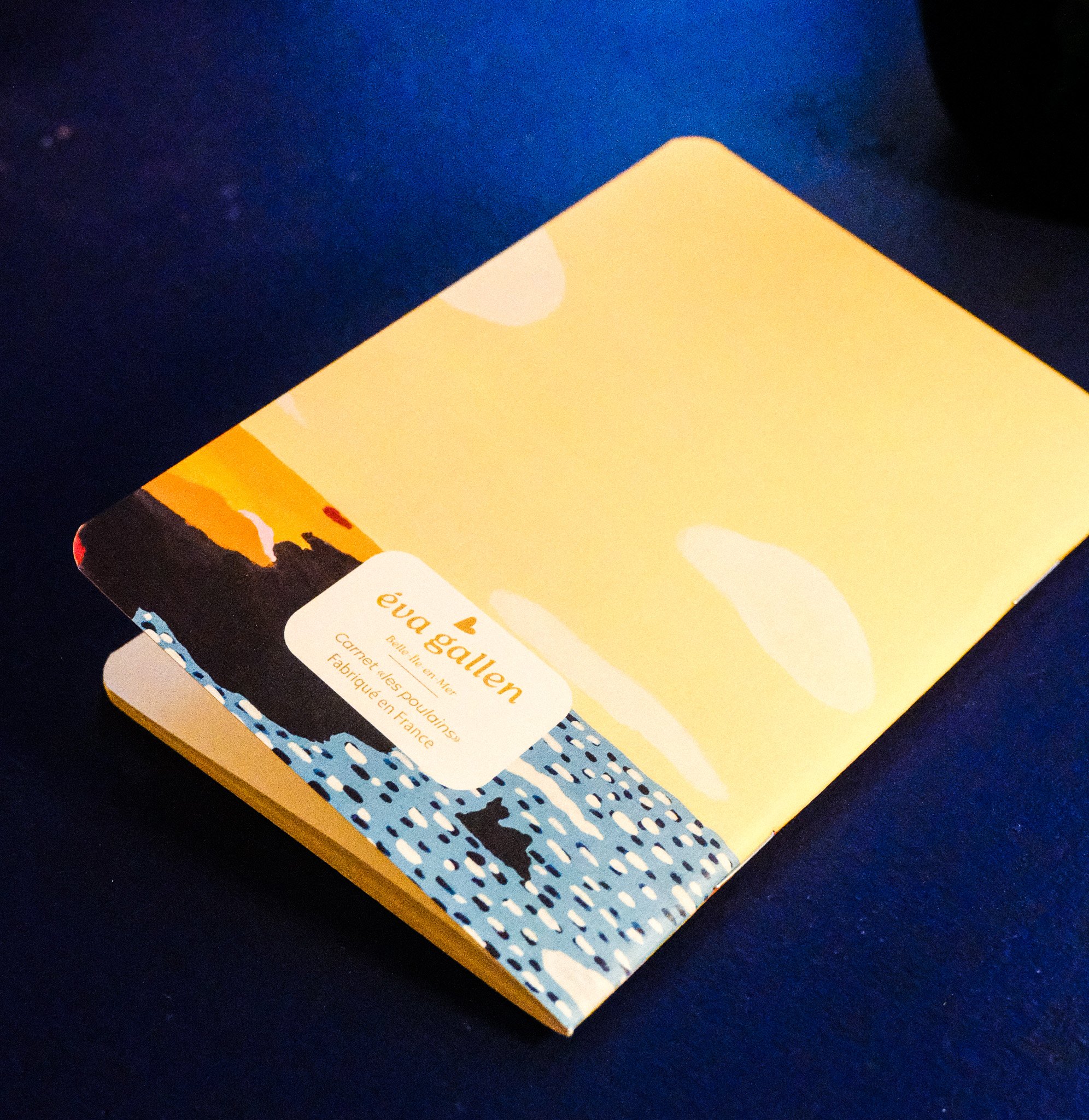 DSCF5364.jpg