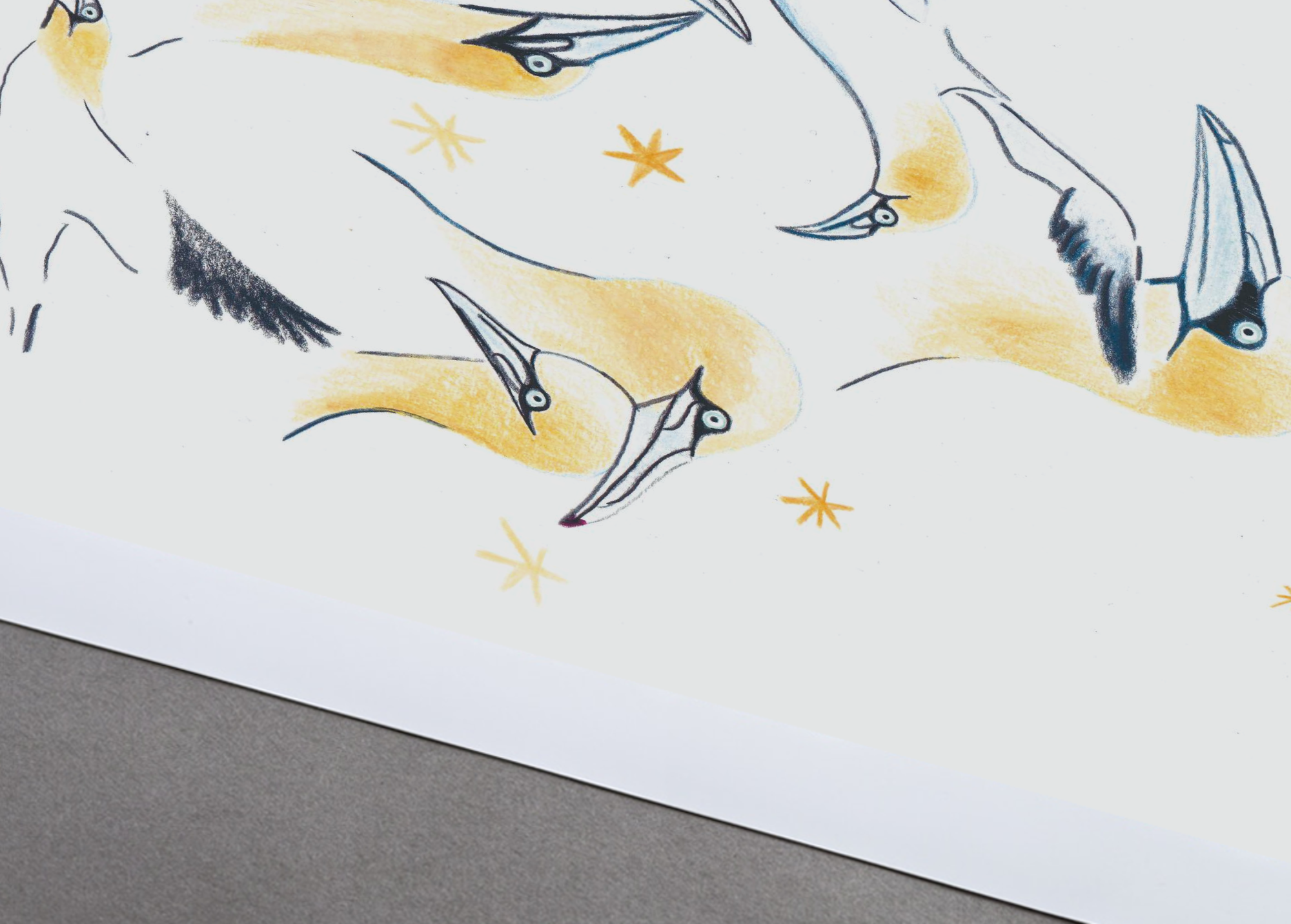 lama-mockup-paper-mockup 2.jpg