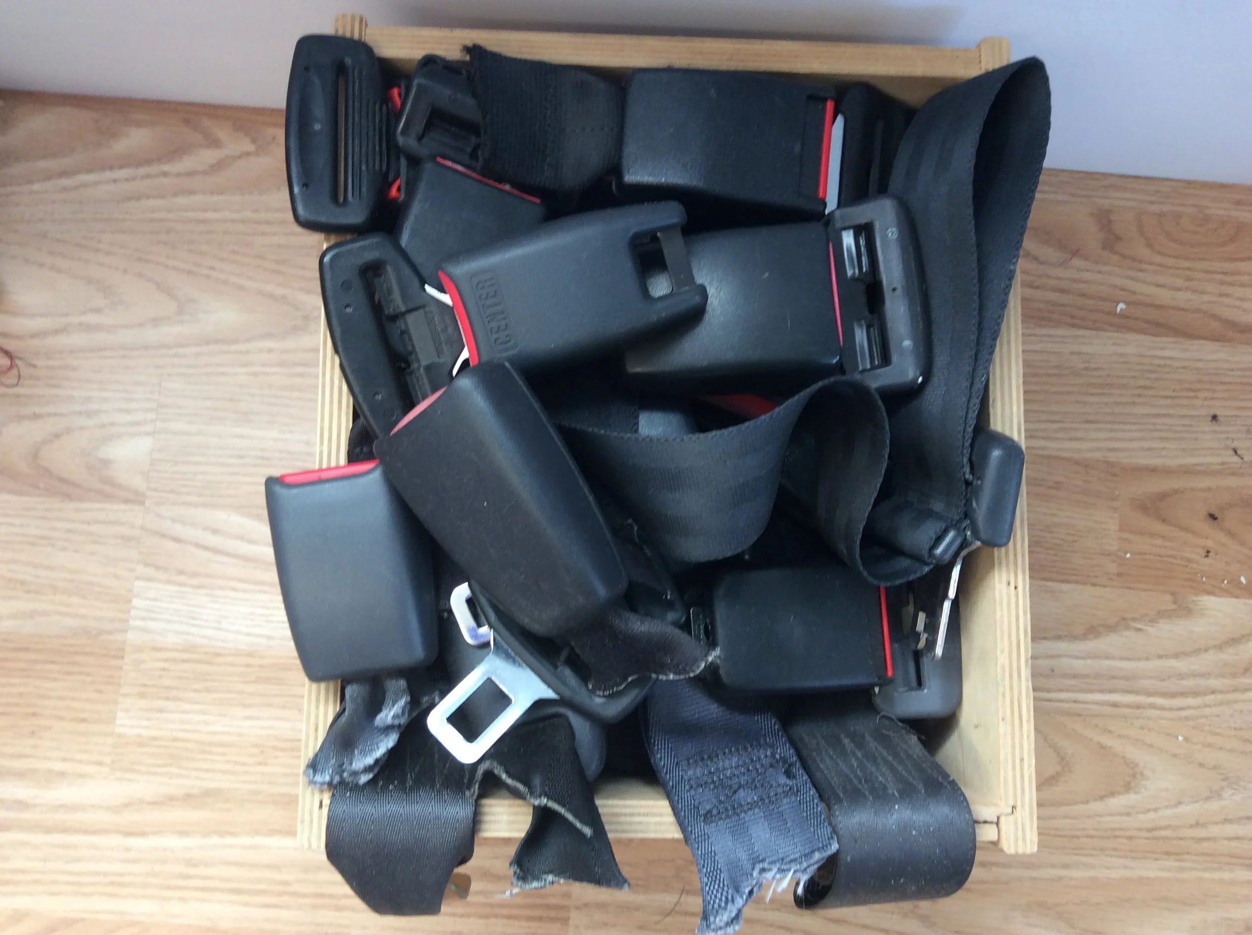 seatbelt buckles.jpg