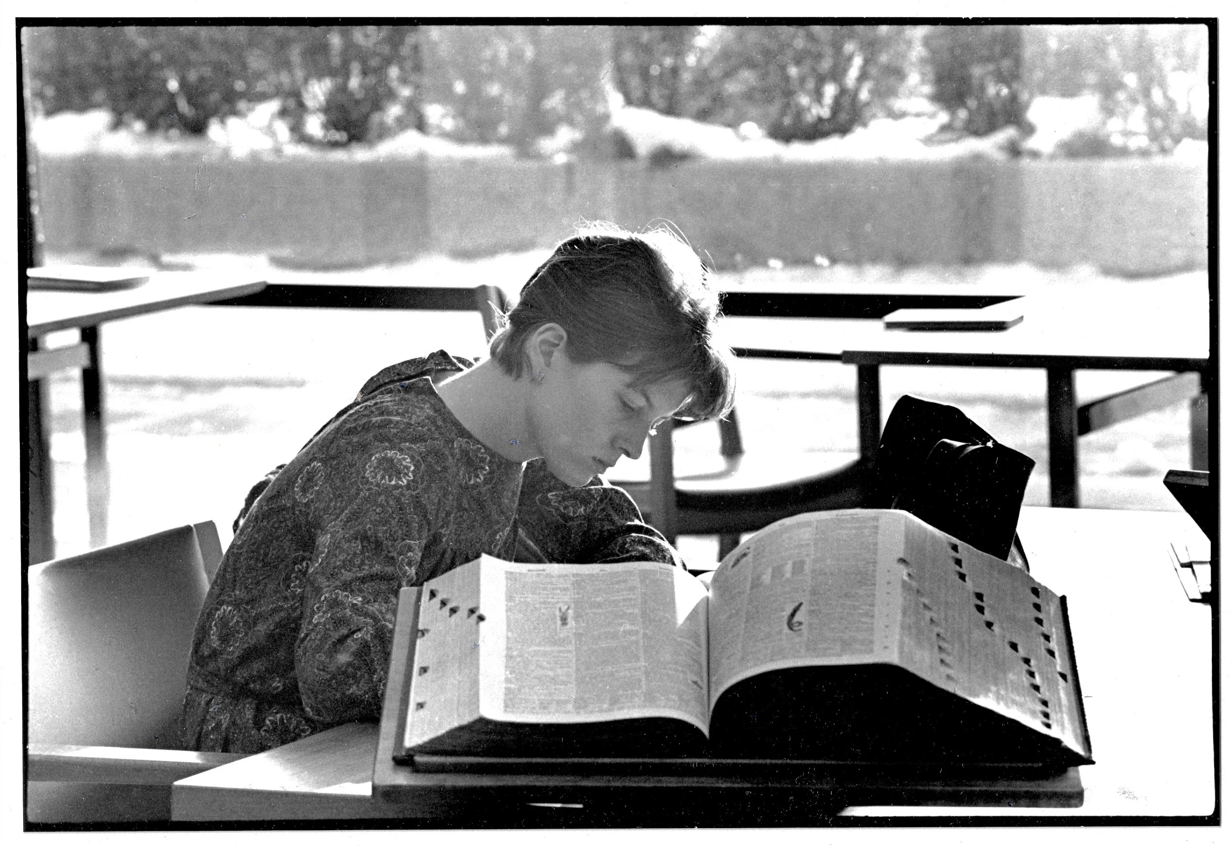 Harvard Hilles behind big dictionary low res.jpeg