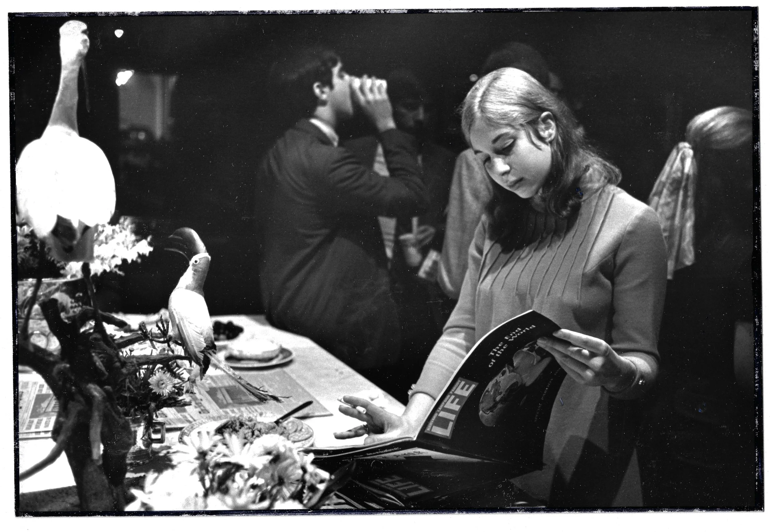 Reading The End of the World Issue of the Harvard Lampoon of Life magazine at its publication party
