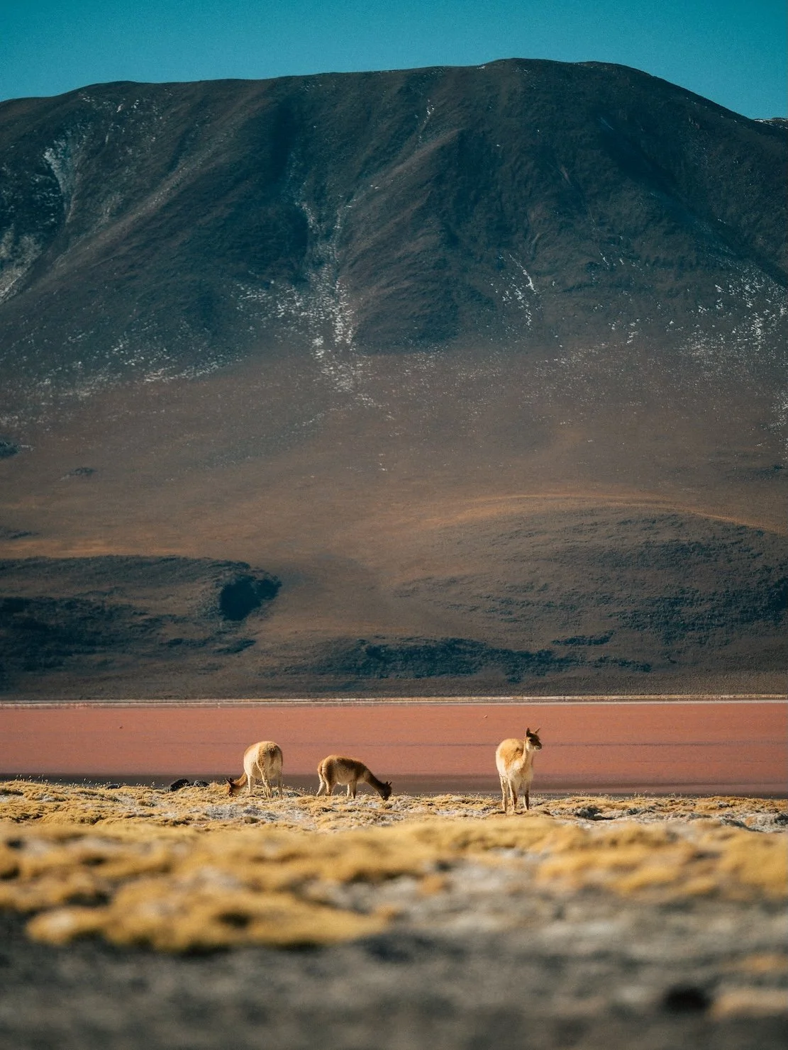  Bolivia_komprimiert_4.jpg