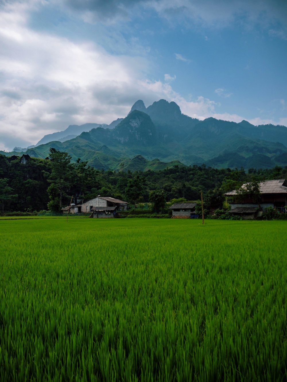 Vietnam 8 (4:3)