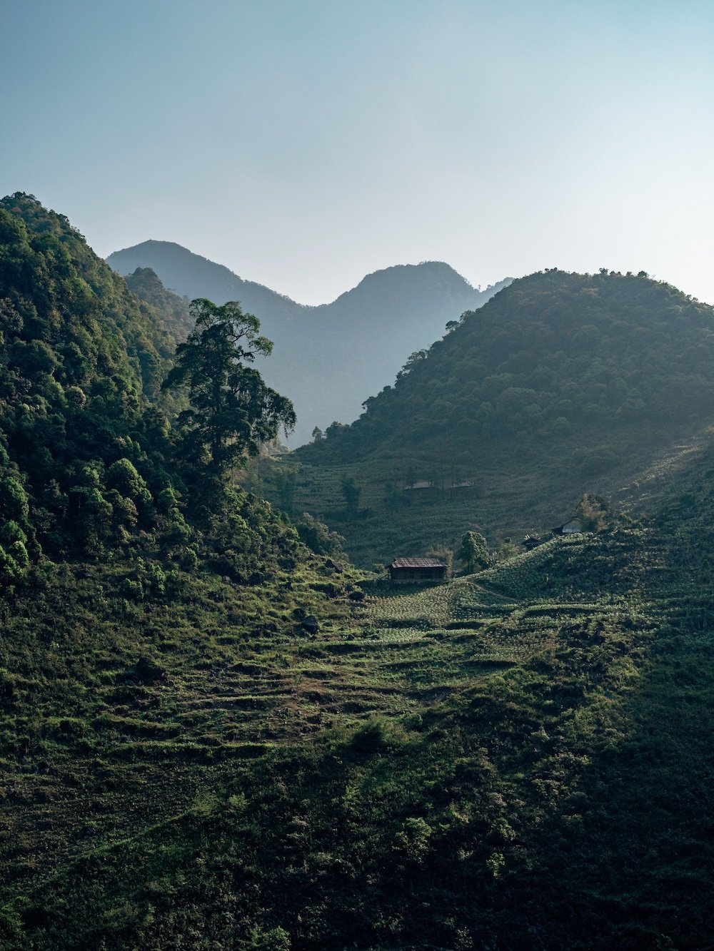 Vietnam 10 (4:3)
