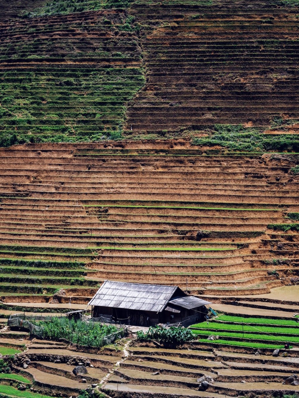 Vietnam 1 (4:3)