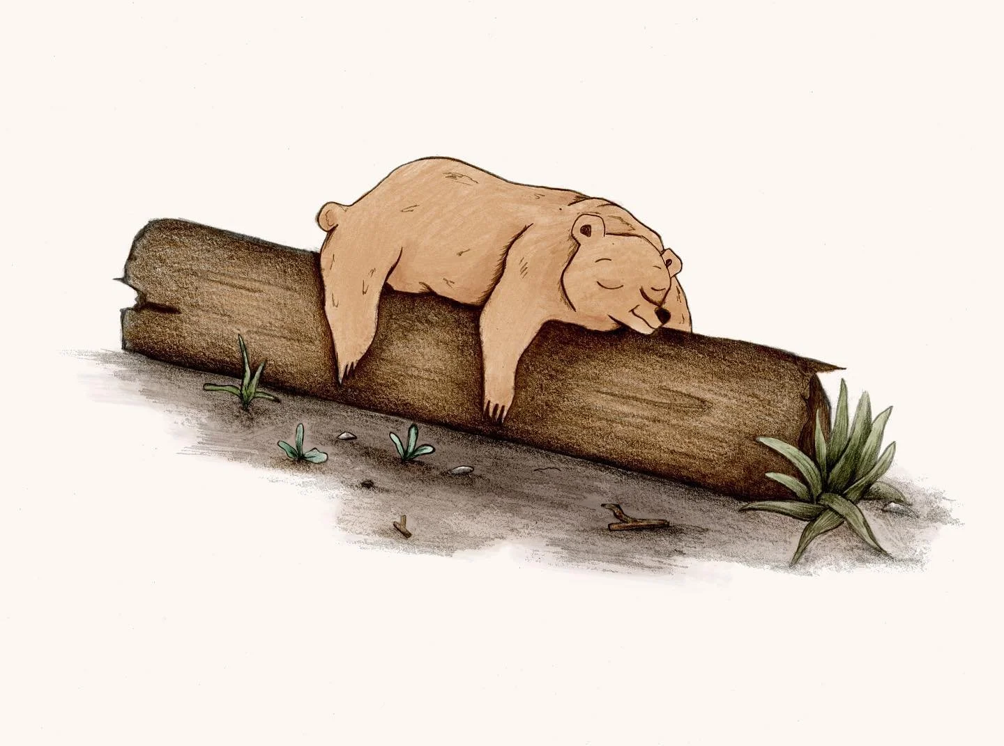 Adding a splash of colour from yesterdays sketch.

Which one do you prefer?🐻 

#aubill6#aubillustration#illustration#illustrationartists#childrensbookillustration#artistsoninstagram#pencildrawing#procreate