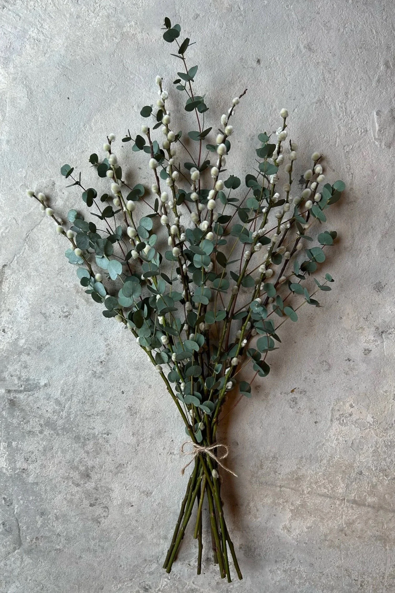 Eucalyptus & Pussy Willow Dried Bouquet