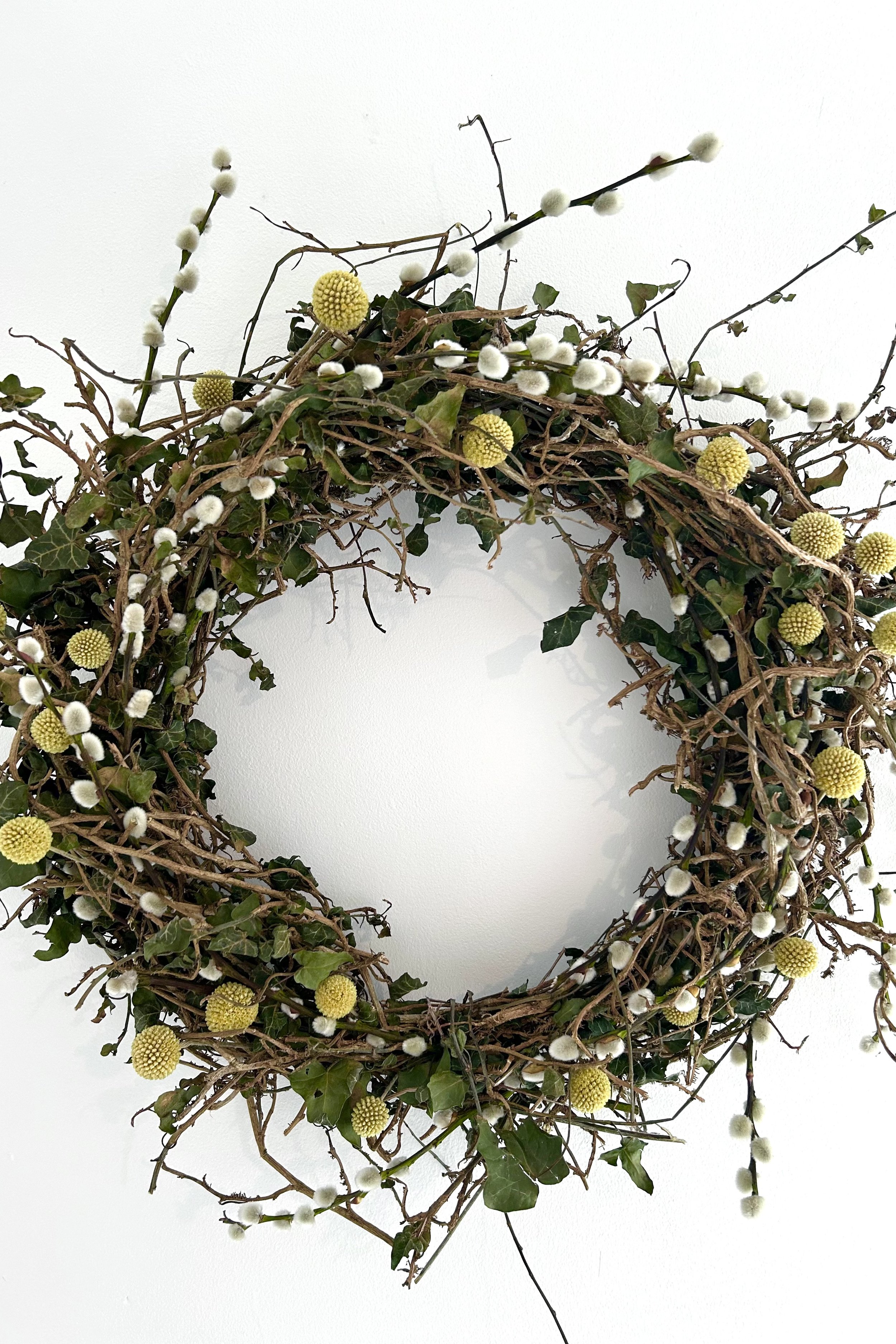 FullSizeRender (1).jpeg