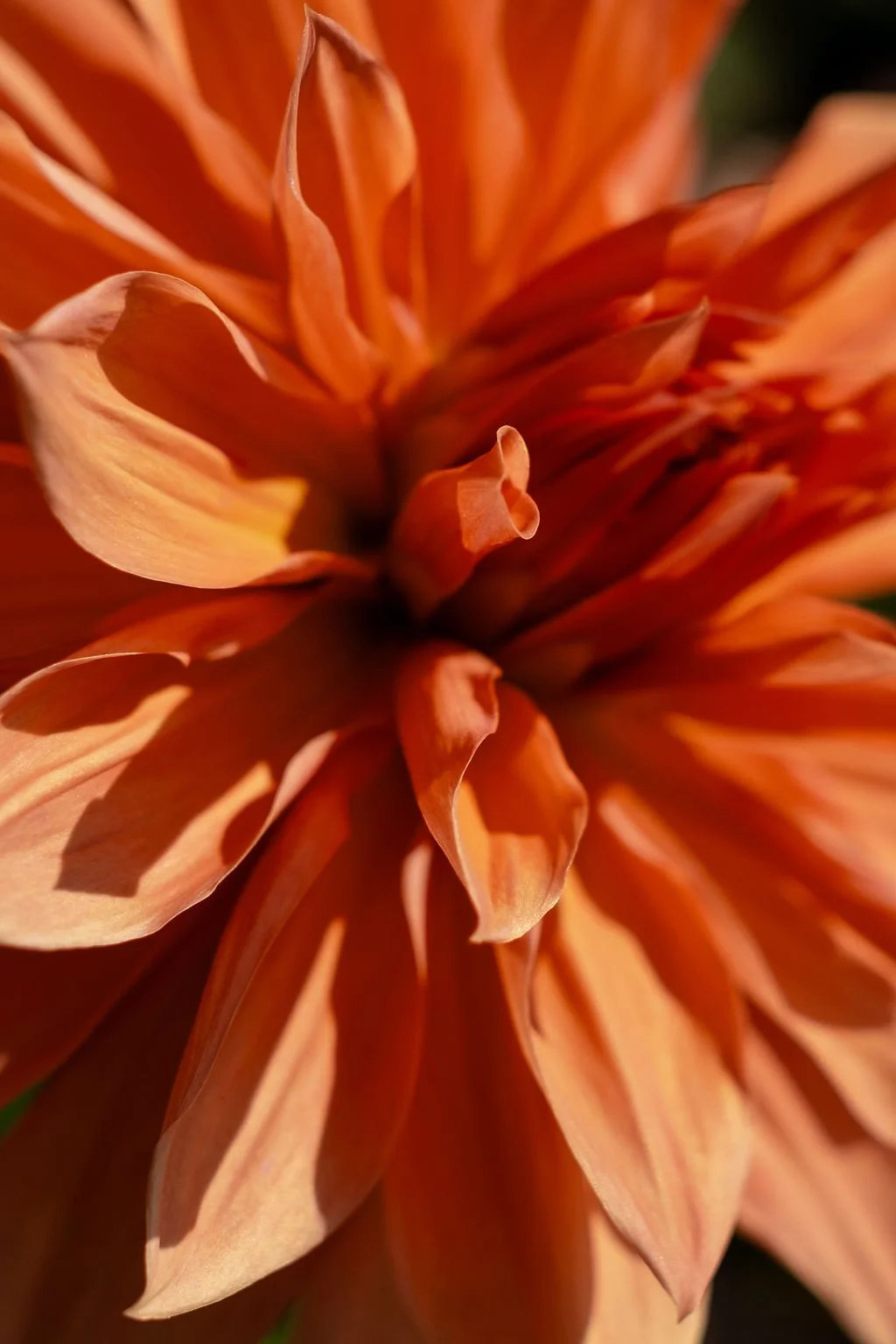 CheniesManor_Fuji_BeckyWoodCreative-36.jpg