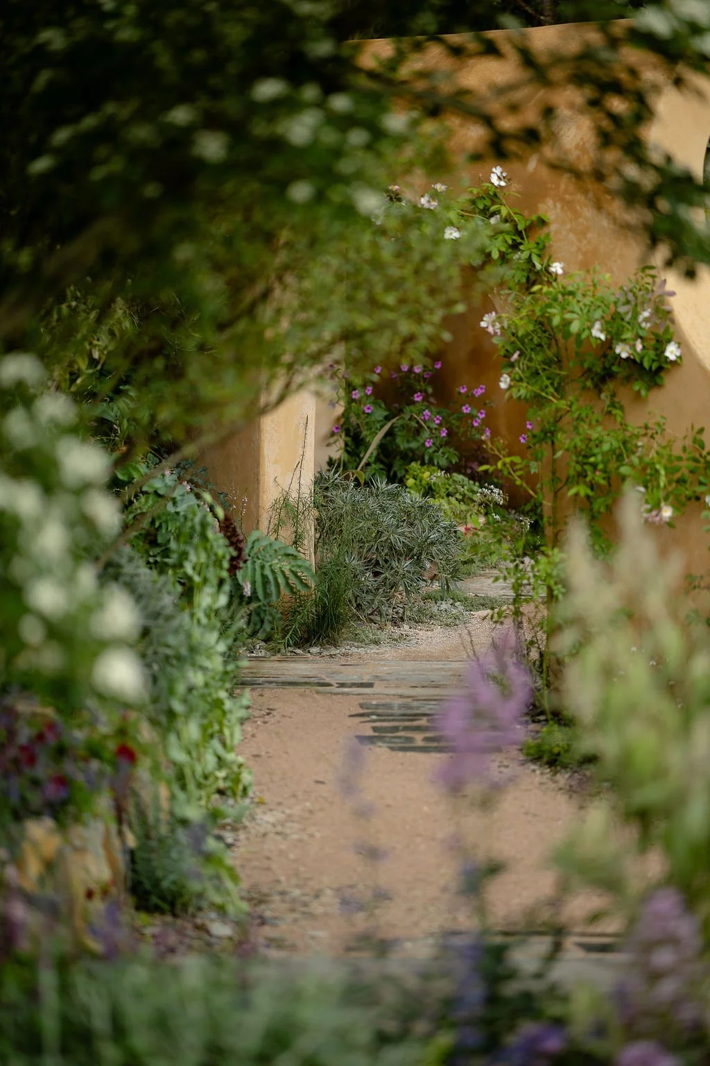Chelsea_2026_BeckyWoodCreative-84.jpg