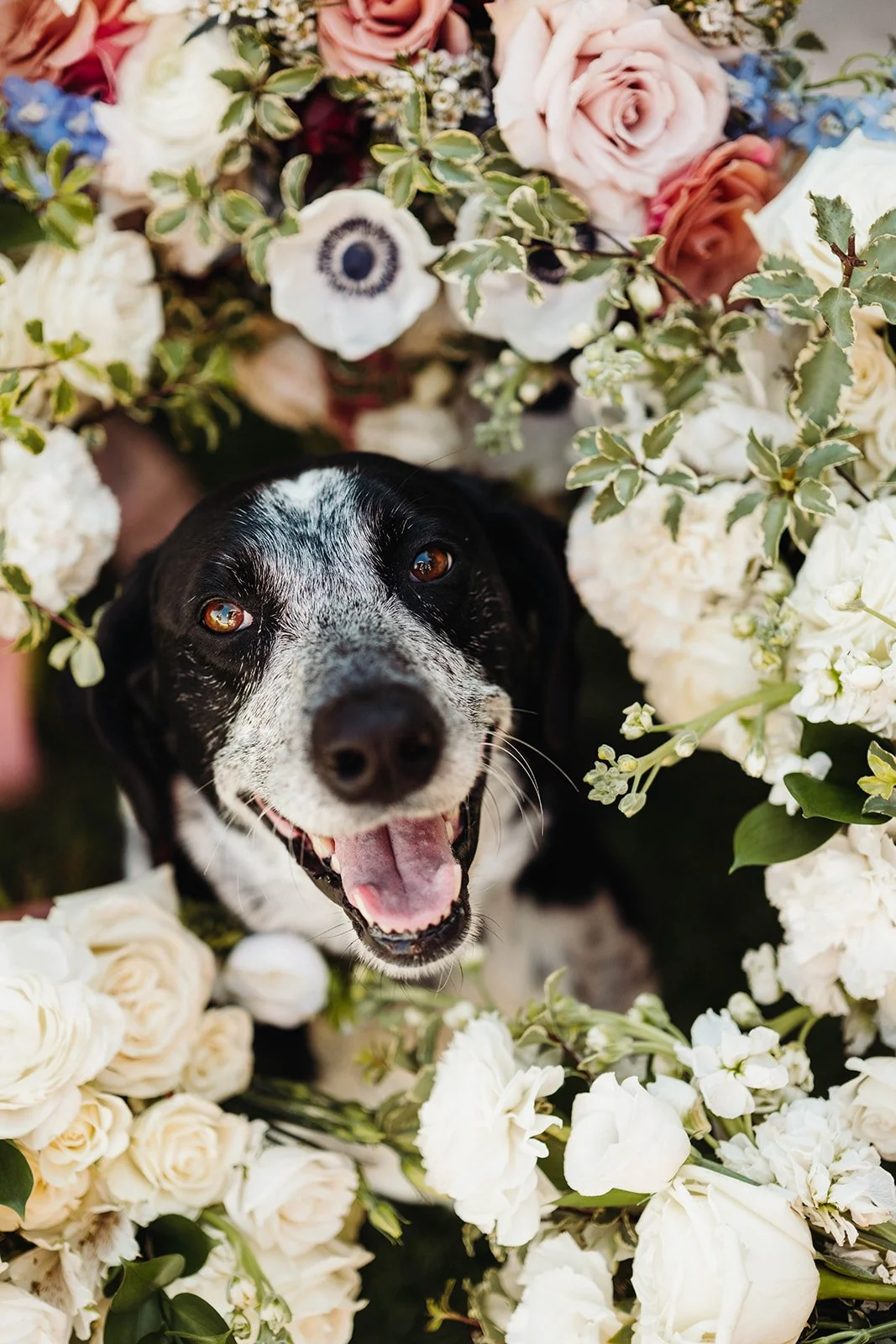 Nichole+Robert_Wedding-404_websize.jpg