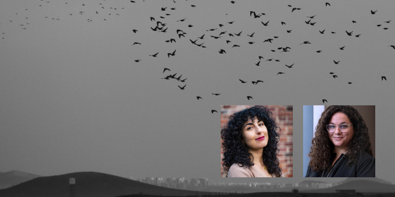 Diaspora Teach-In: Transforming Collective Pain Into Solidarity