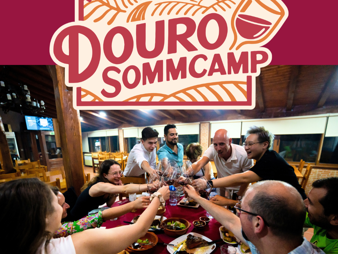 Elevate Your Expertise: The Search for the 2026 Douro SommCamp Representative