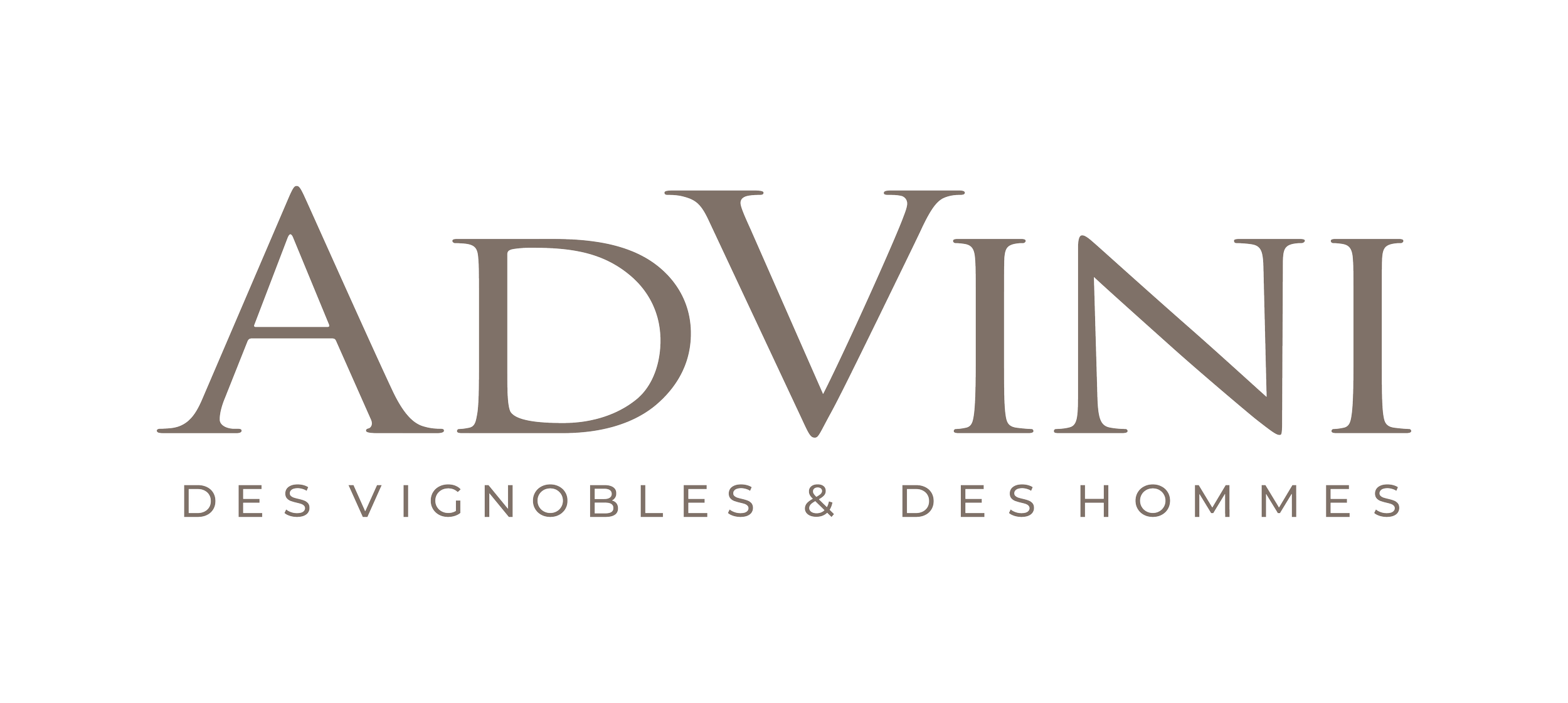 UK Sommelier Academy Partners with AdVini to Elevate UK Sommellerie ...