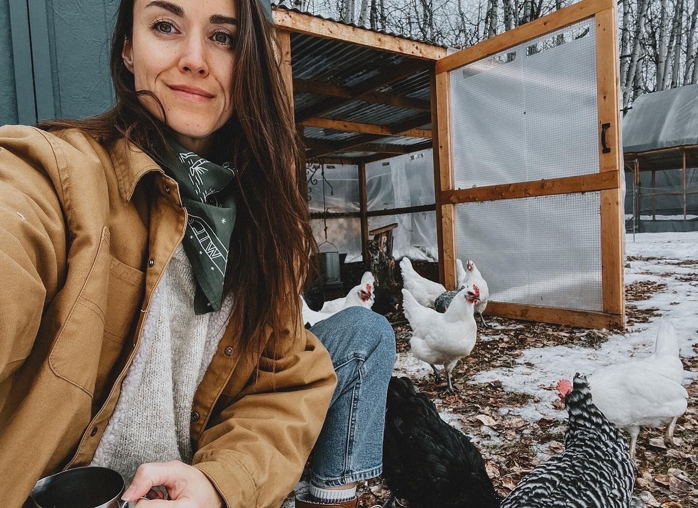 Twenty-five chickens and not a single egg in sight. My girls are just over here enjoying free room and board while our egg basket dwindles in shorter days.

📸and words by @moniquecampsall

#goodswithastory #howledthewolf #wildplaceswildways #bandana