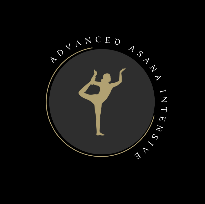 Screen Shot 2022-11-22 at 11.21.16 AM.png