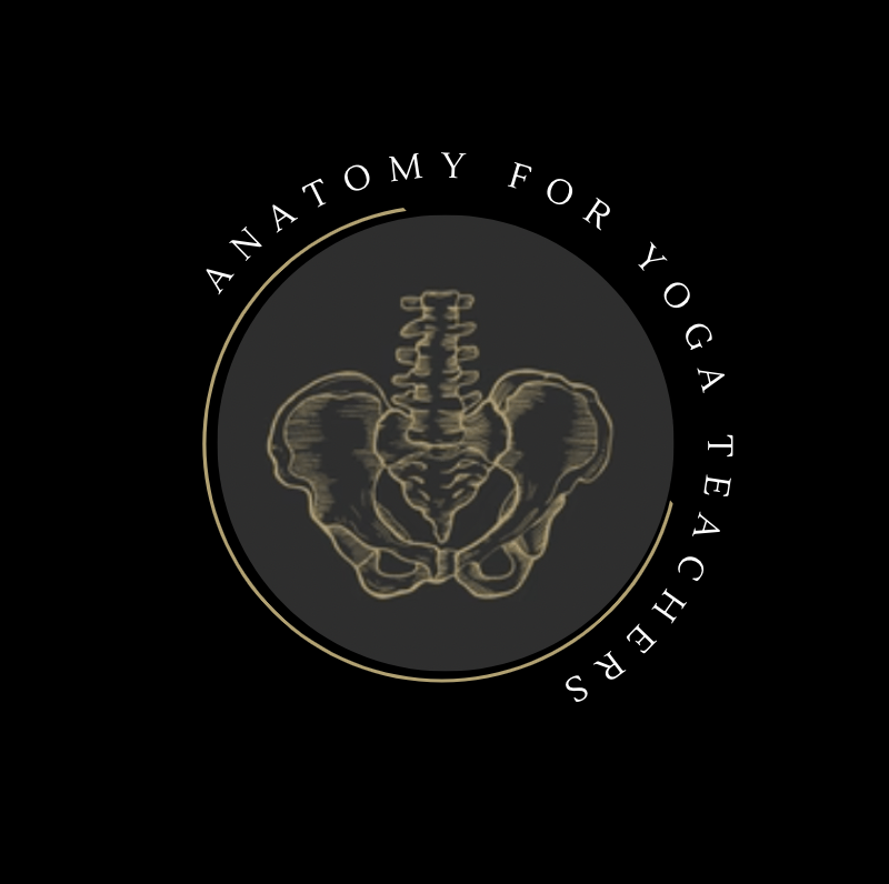 Screen Shot 2022-11-22 at 11.20.35 AM.png