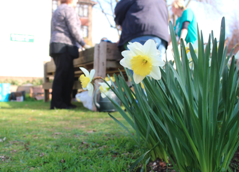New nurse-led gardens and health projects announced for 2026
