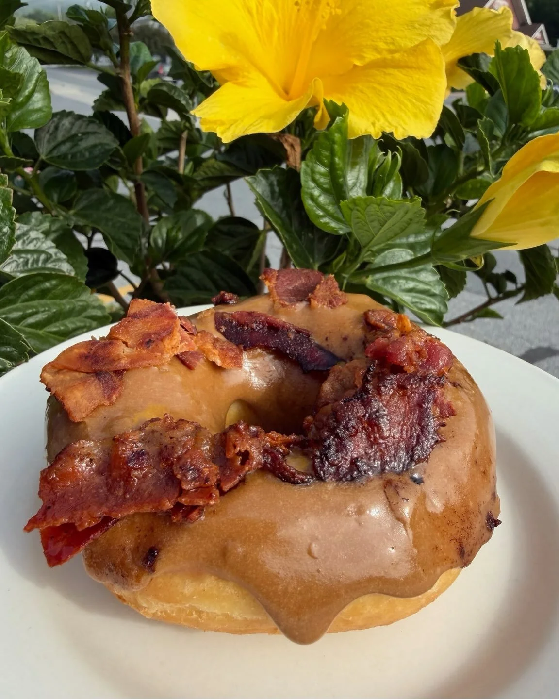 A sweet and savory masterpiece, maple bacon!