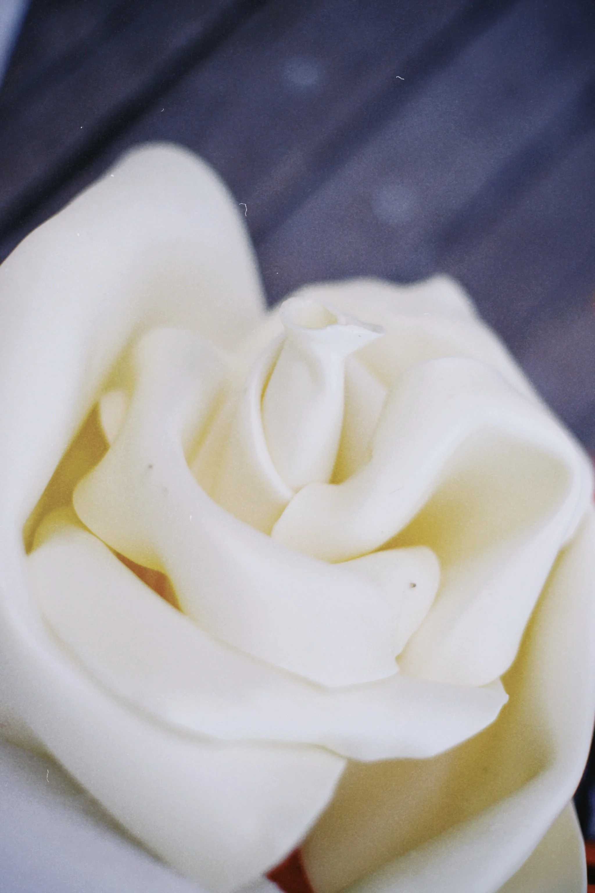 image00111.jpeg