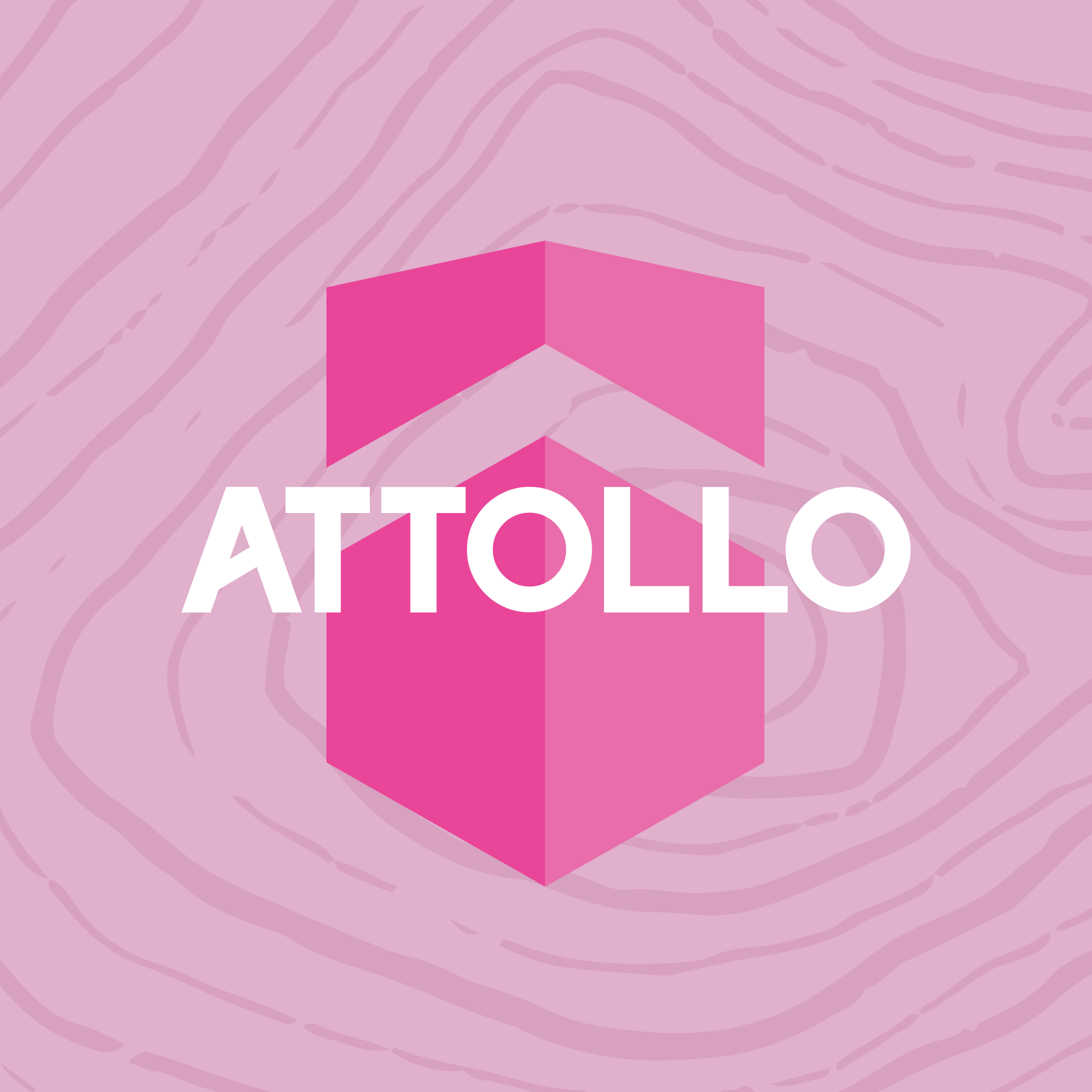 Rooted in Change: Celebrating Women Leading the Way Forward