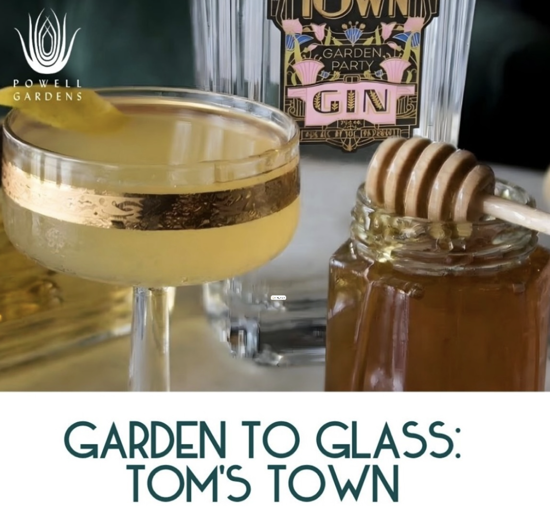 Garden To Glass: Tom's Town