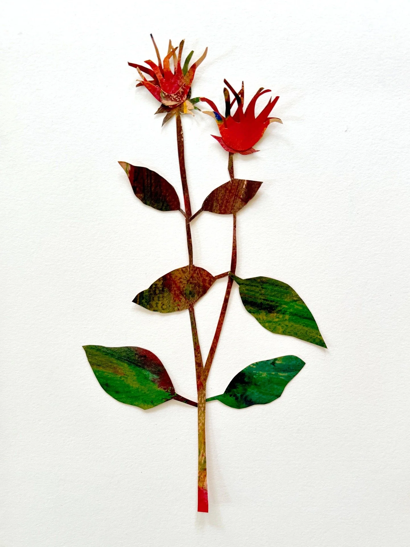Day 30 of 100&mdash;Bee Balm.
Messy tousled mop-topped bee balm. It is a wonderful pollinator plant and I simply can&rsquo;t stand the way it looks. Which forced me last spring to examine my designer&rsquo;s desires and go, &ldquo;Ugh, fine&rdquo; an