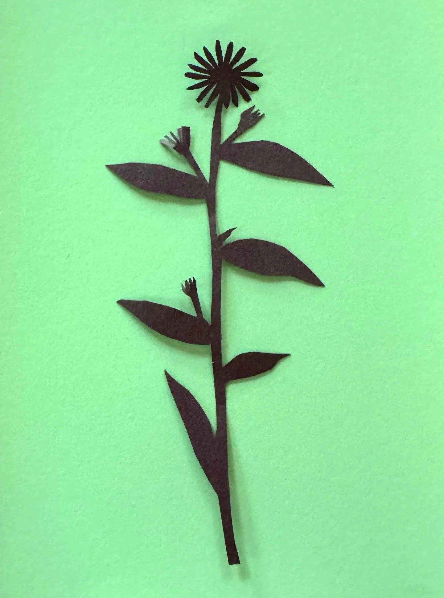 Day 32 of 100&mdash;New York Aster.
This past weekend was neurologically twisty-turny so this was all I managed Sunday, and I cut it out too late to photograph it. I do like the feel of what I&rsquo;m cutting out freehand. Almost all the other ones w
